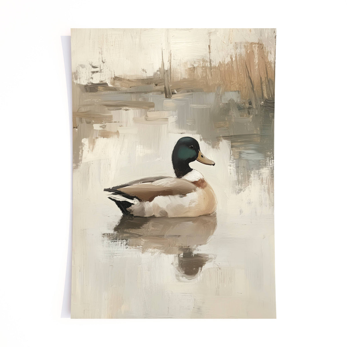 Mallard - print : Print (unframed) / 11x14