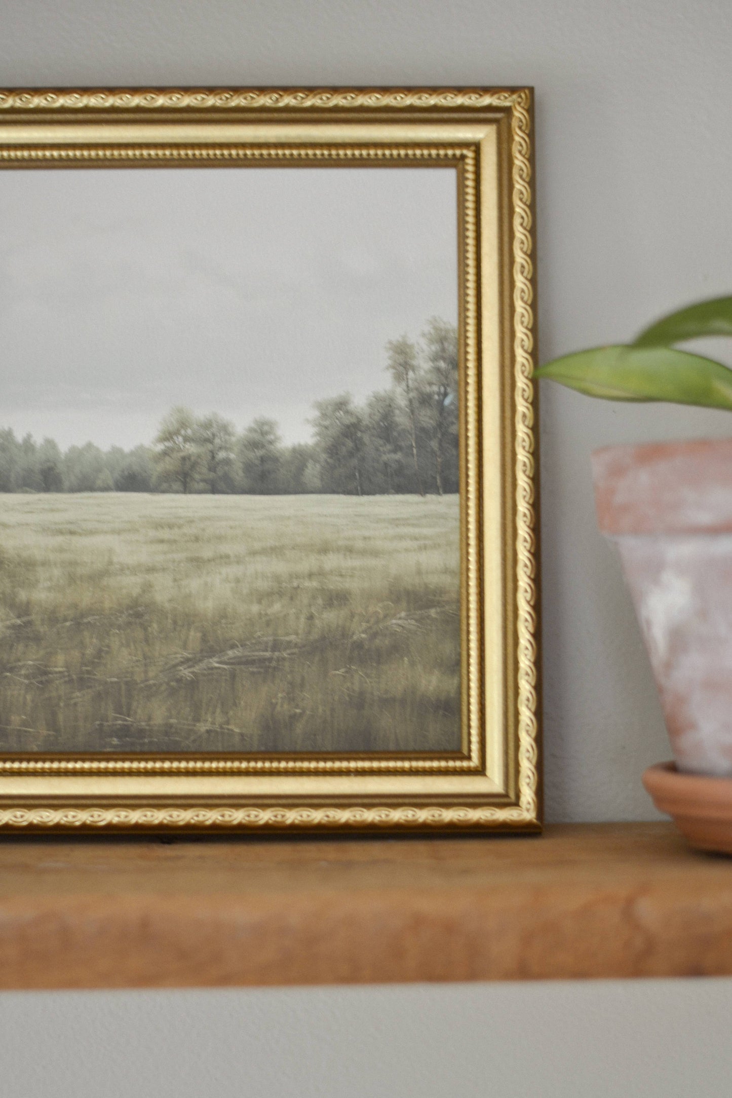 Evergreen Meadow: Gold Frame / 5x7