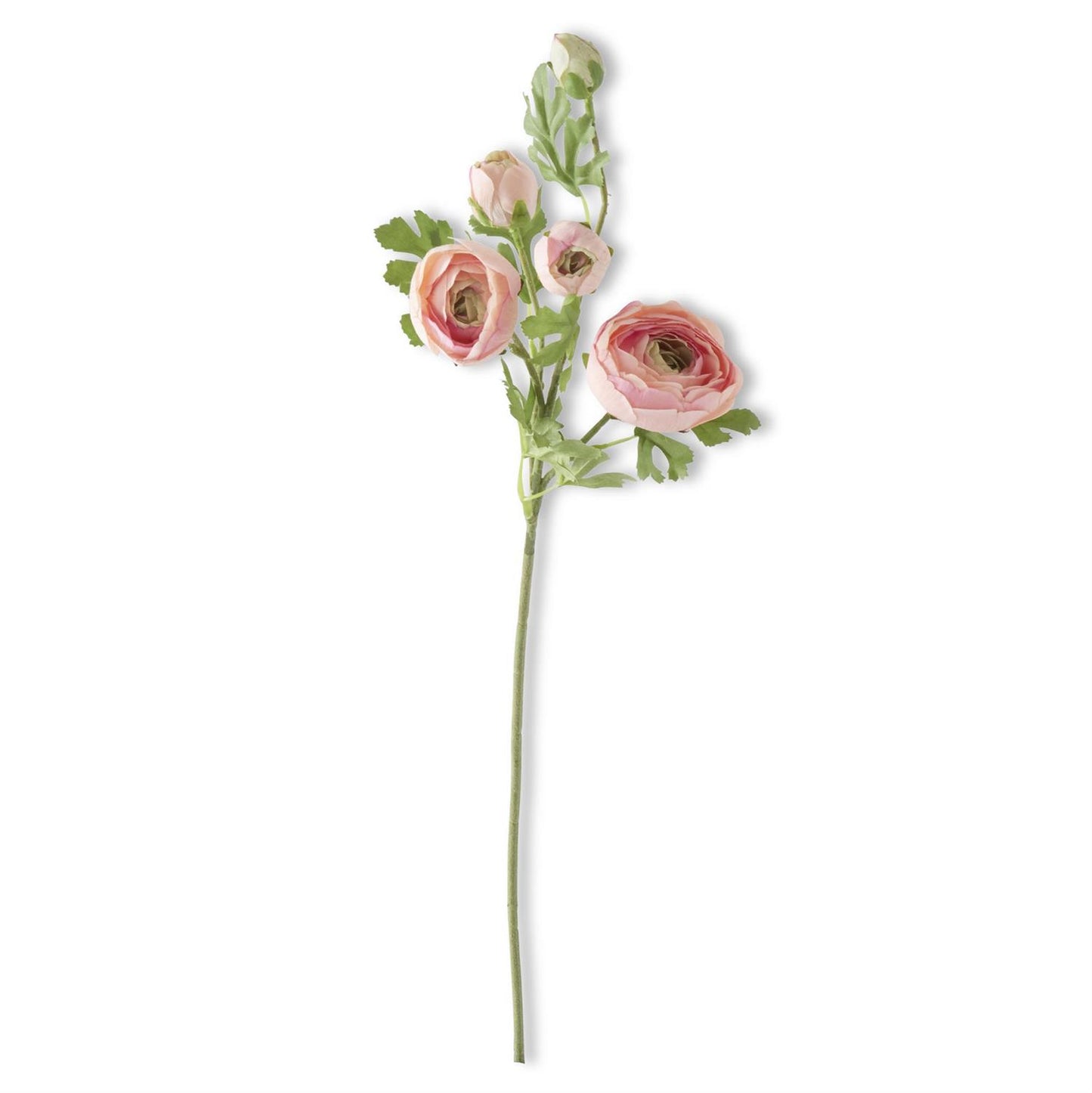 Pink Real Touch 5 Head Ranunculus Stem