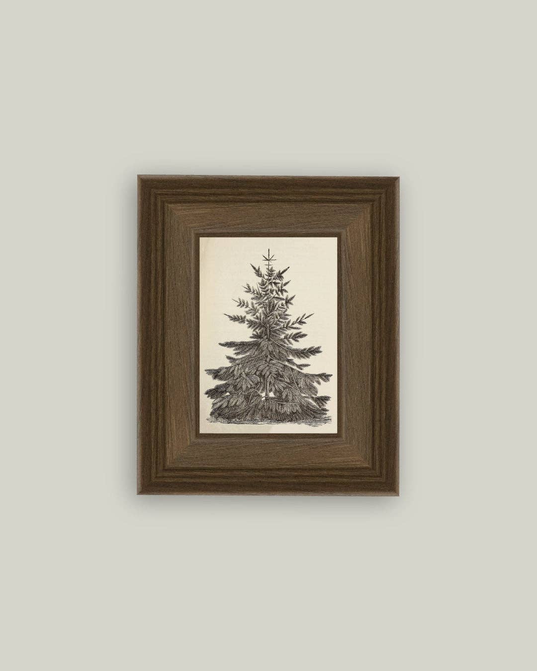Vintage Pine Tree: 5x7