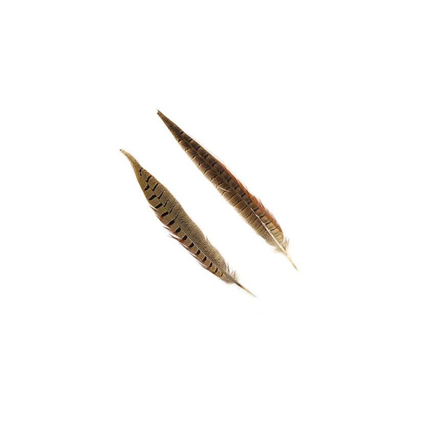 Ringneck Pheasant Tails 10-16" - Natural