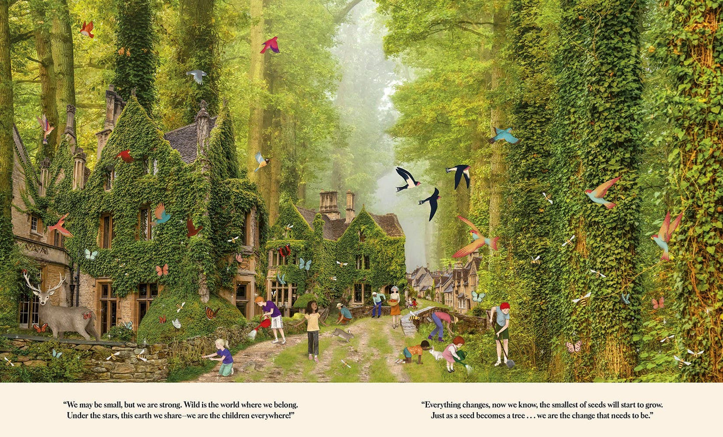 Through the Fairy Door