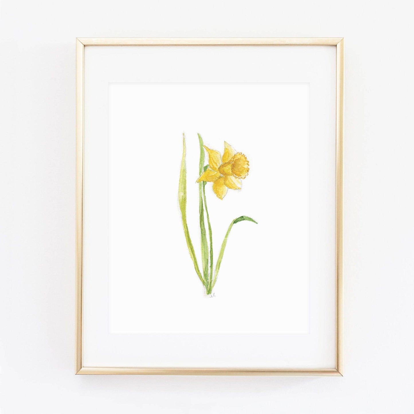 Daffodil art print: 8x10