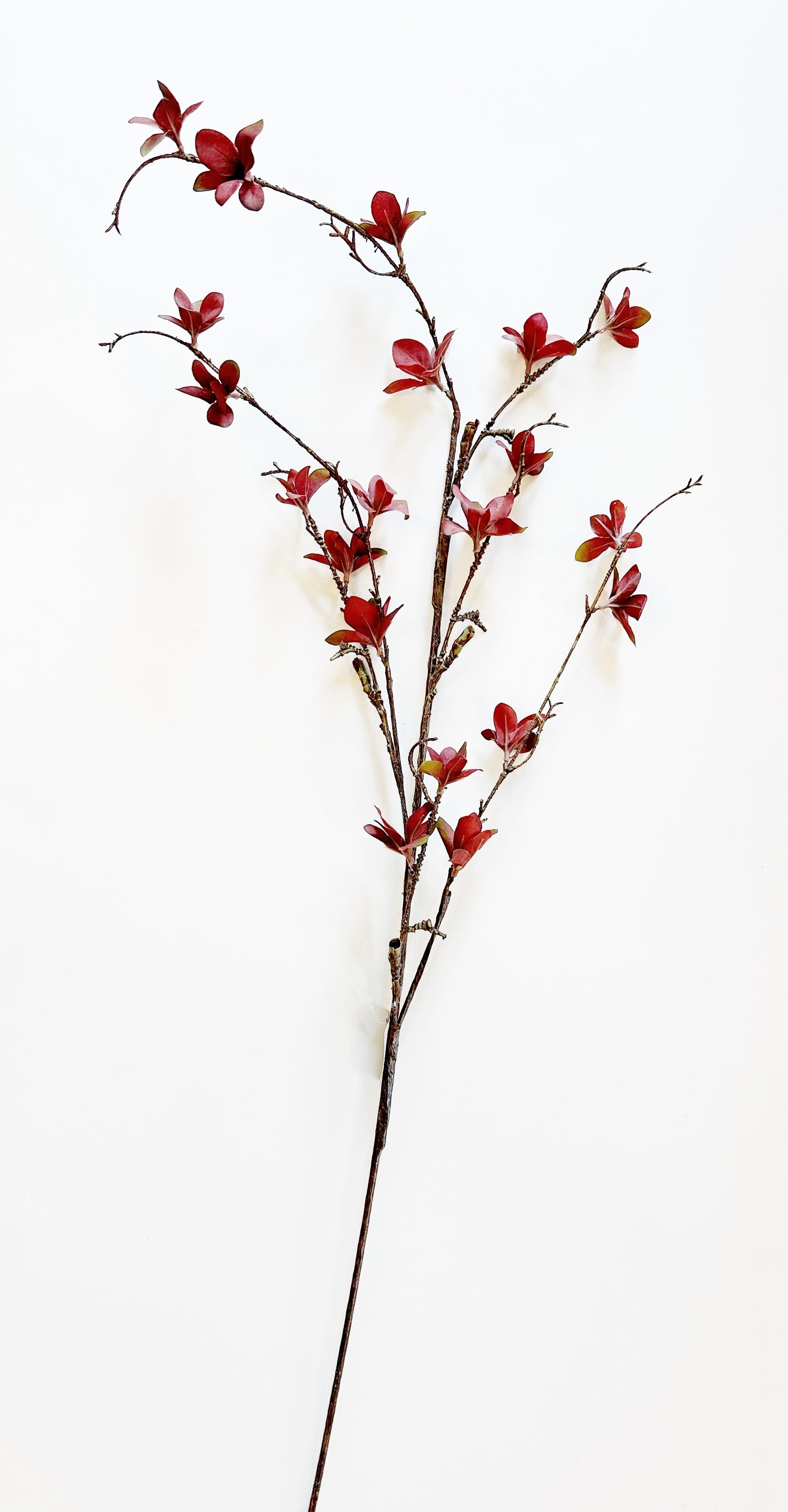 BROWN MAGNOLIA BLOSSOM SPRAY