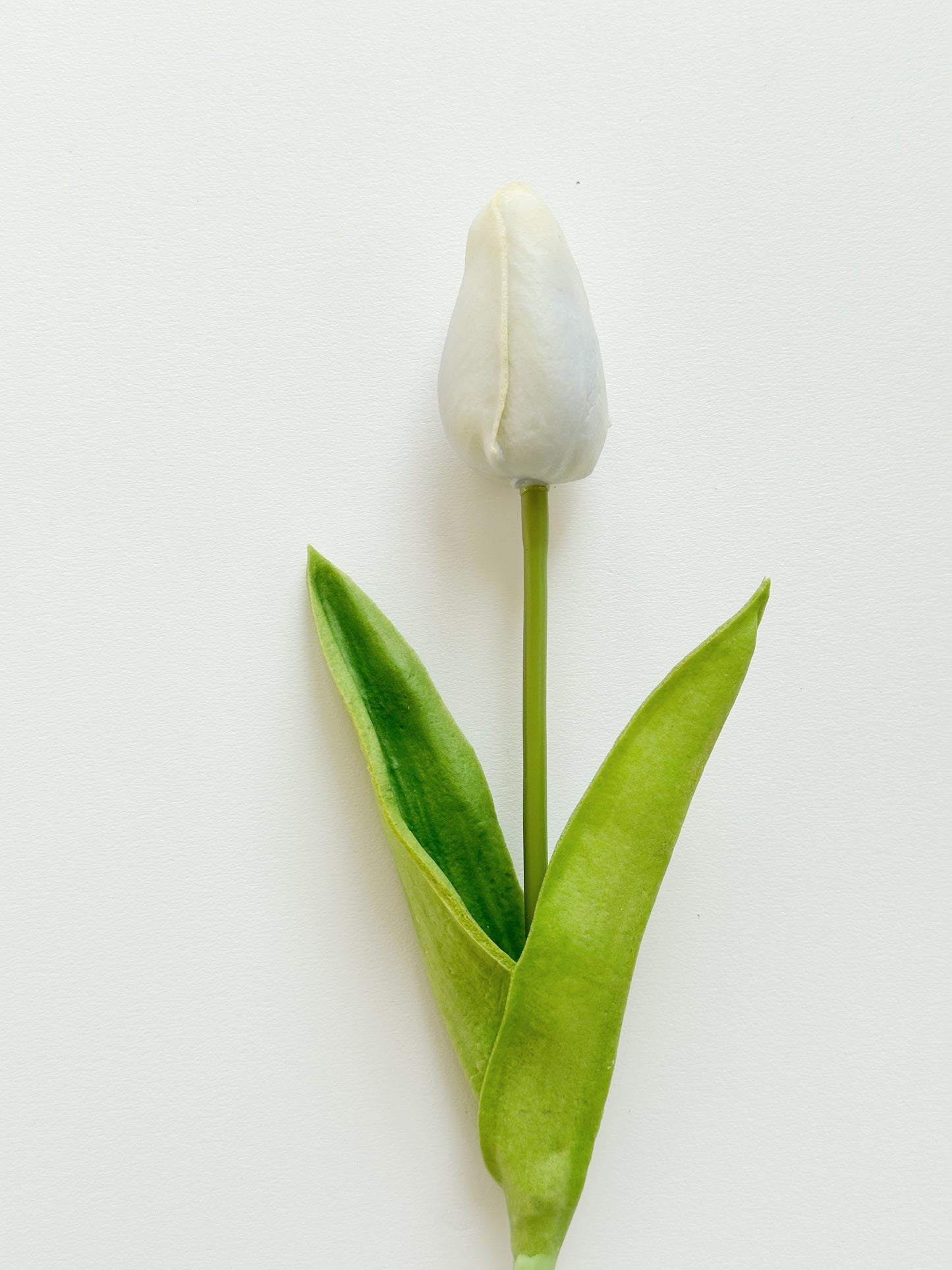 Real Touch Tulips