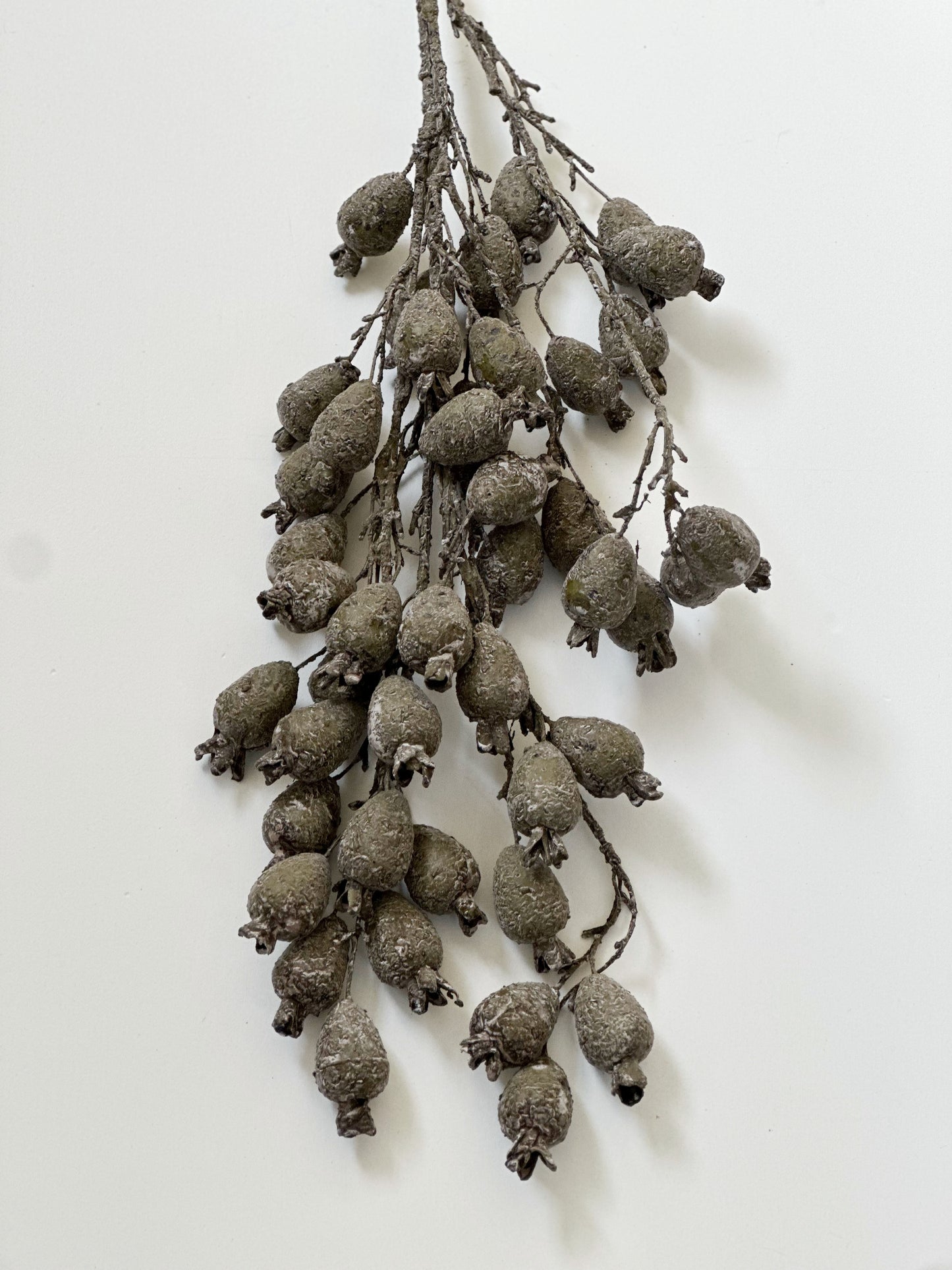 Dried Pod Branch, Green