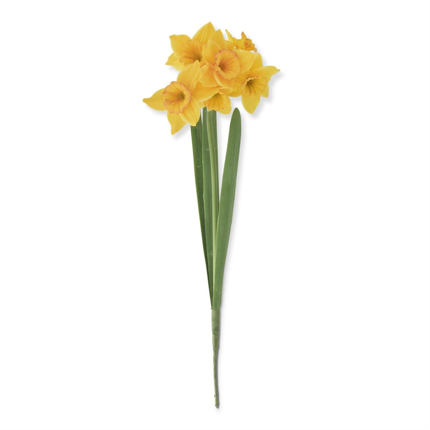 Yellow 6 Bloom & Bud Daffodil Stem