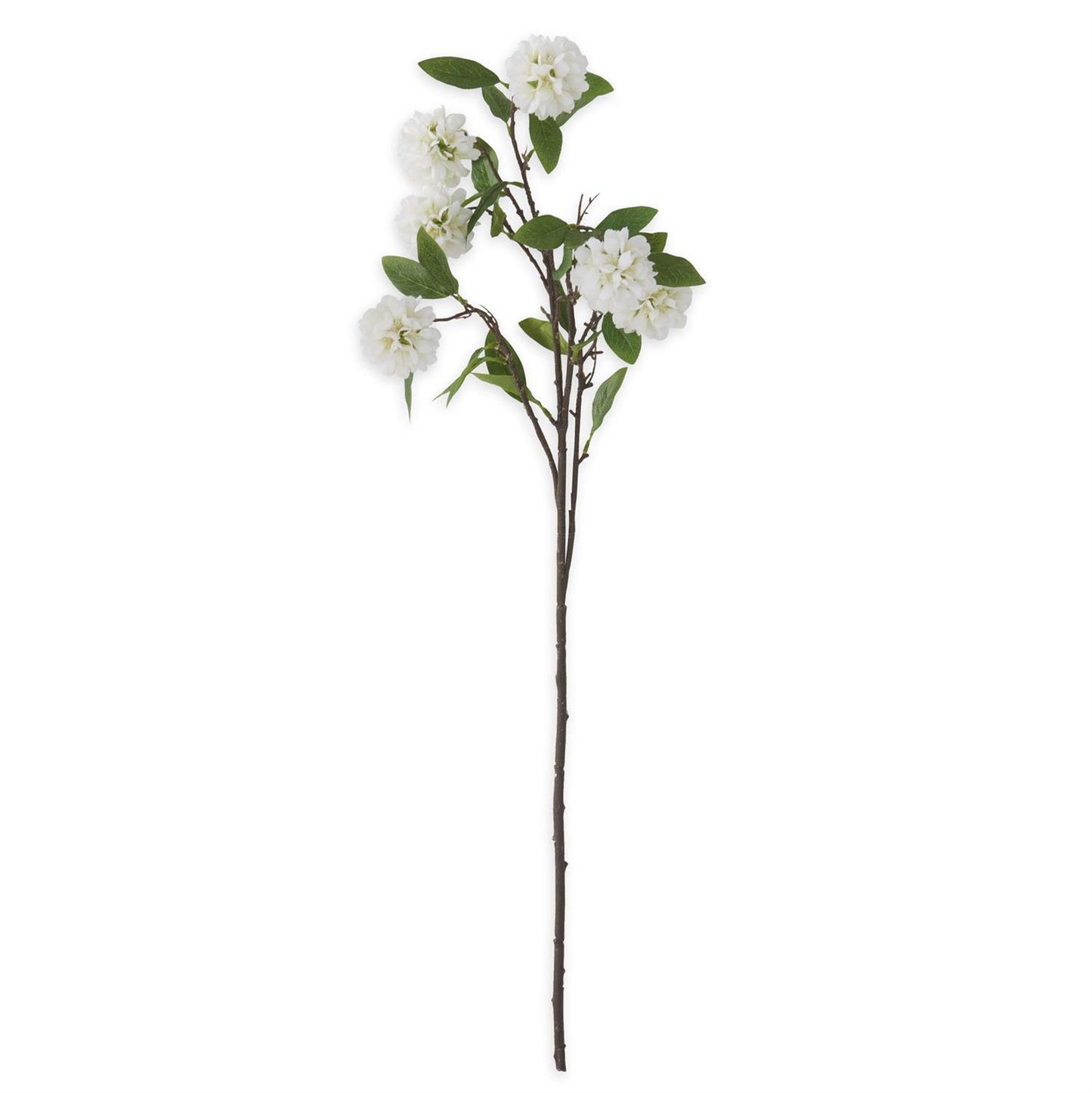 White Kerria Spray