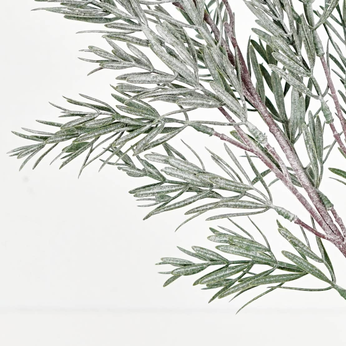 24in Spray-Frosted Rosemary pine spray