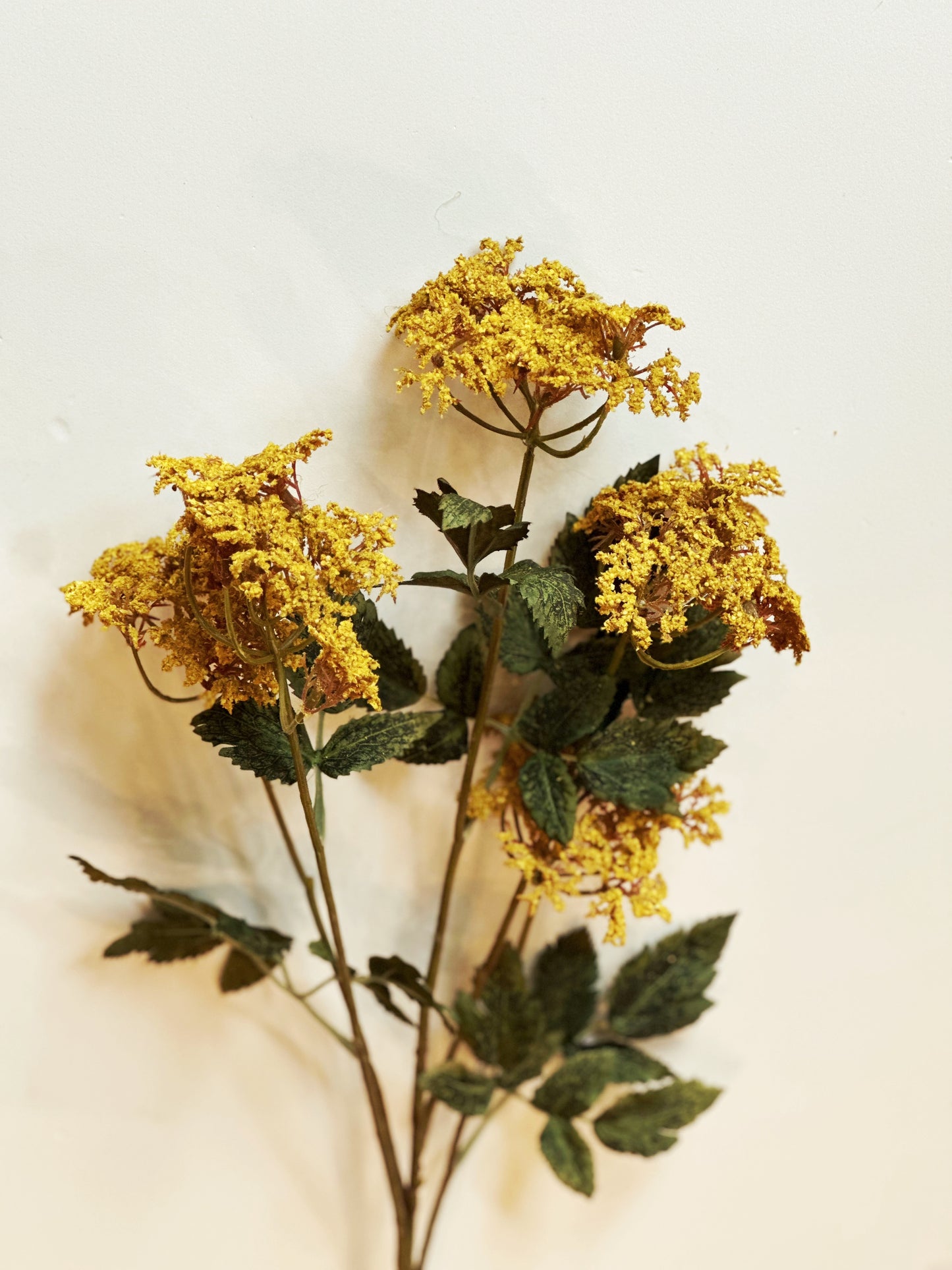 Queen Anne's Lace Spray Mustard