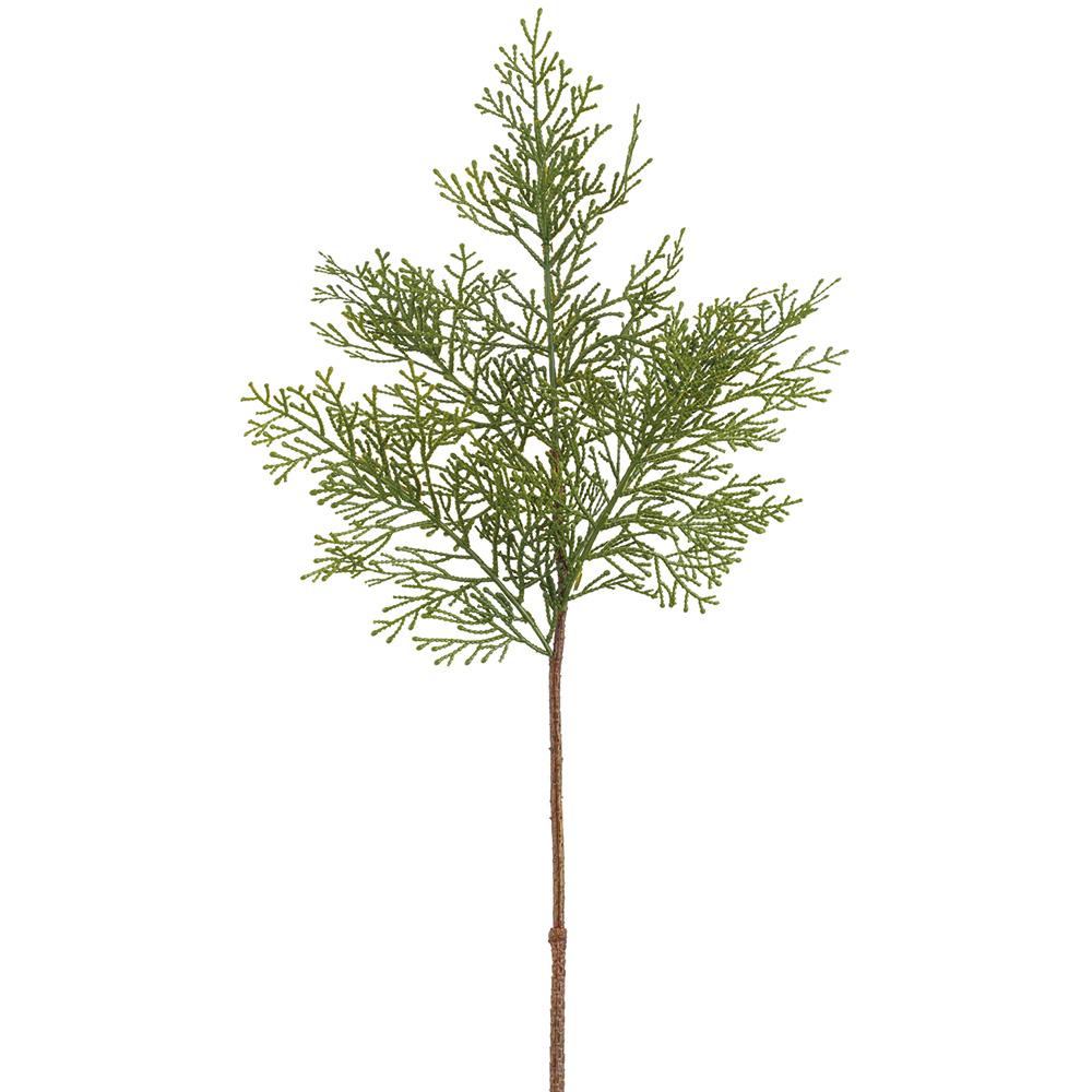 Cedar Spray Stem