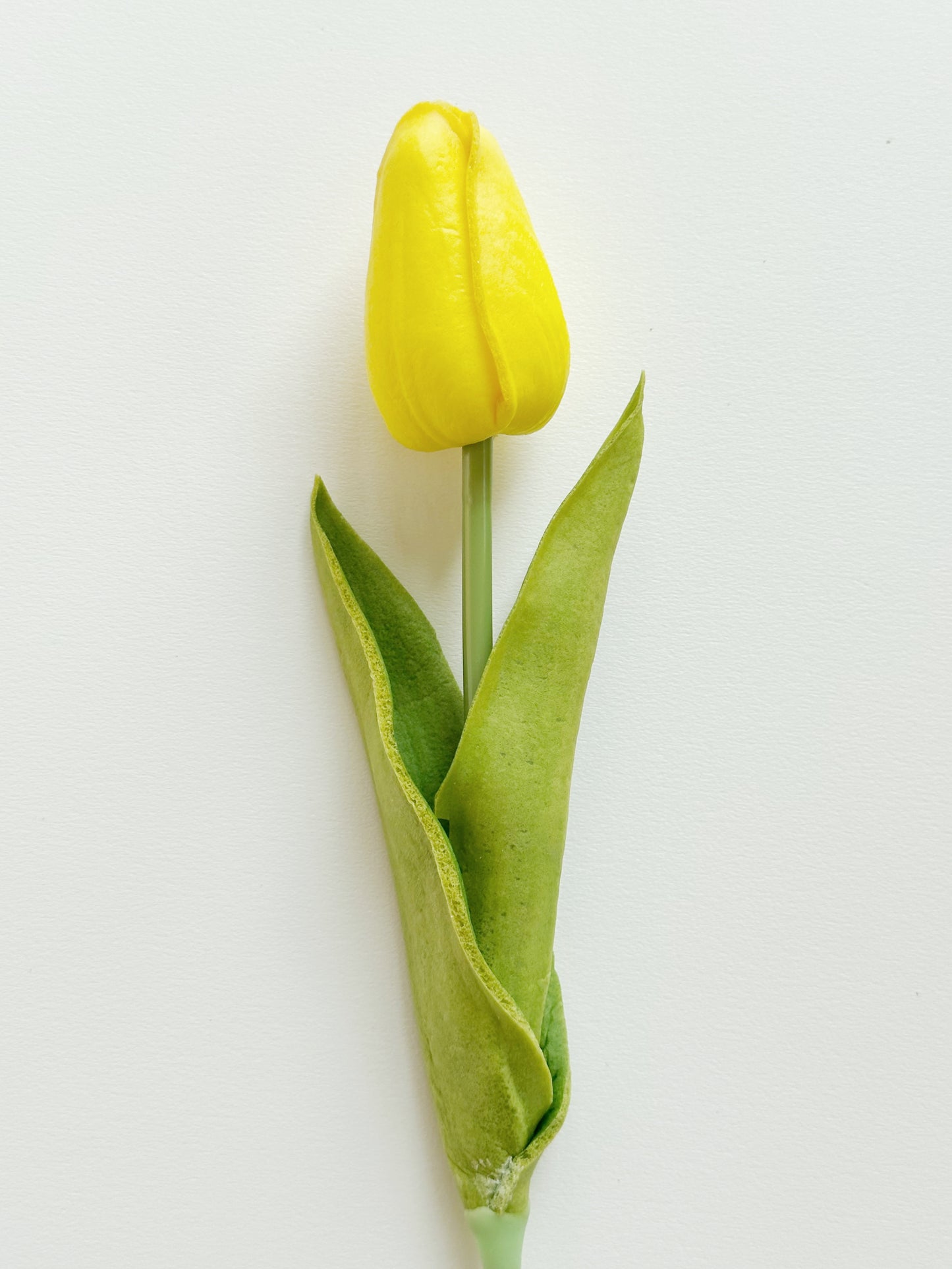 Real Touch Tulips