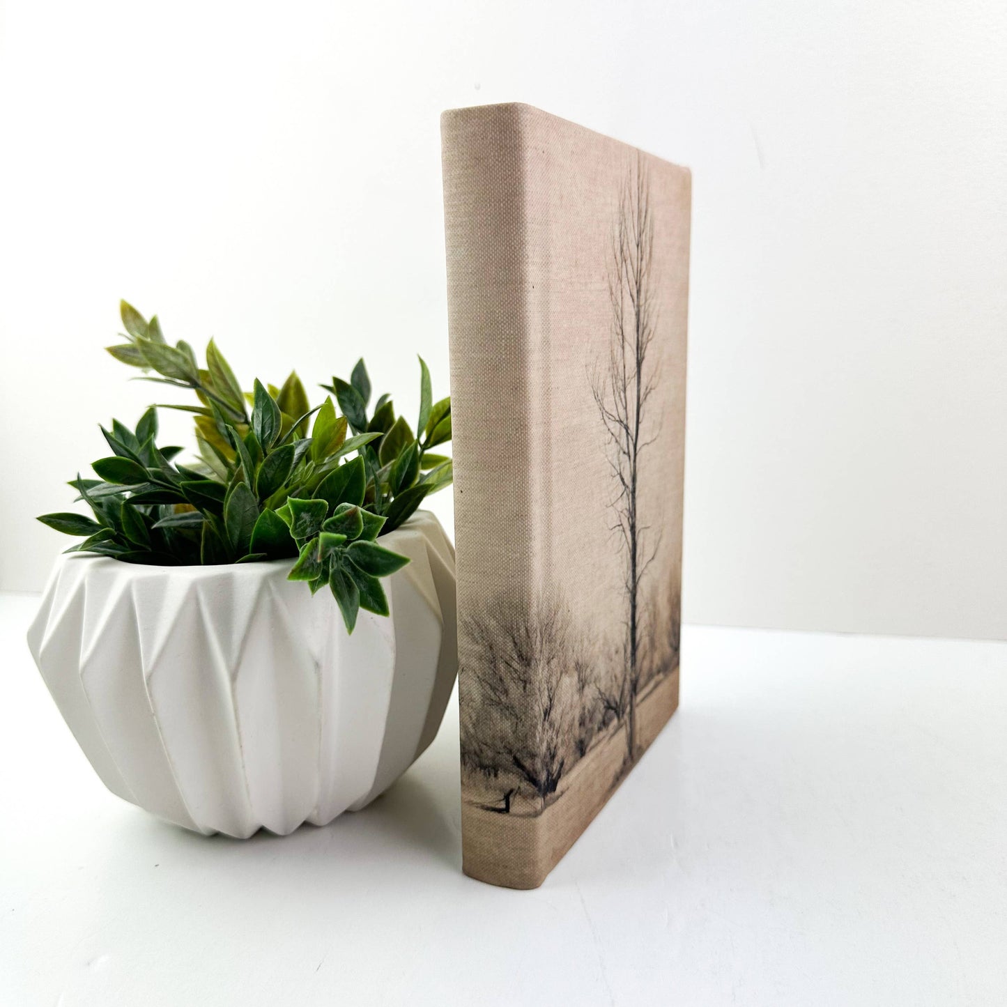 Wrapped Decorative Book with Tree.