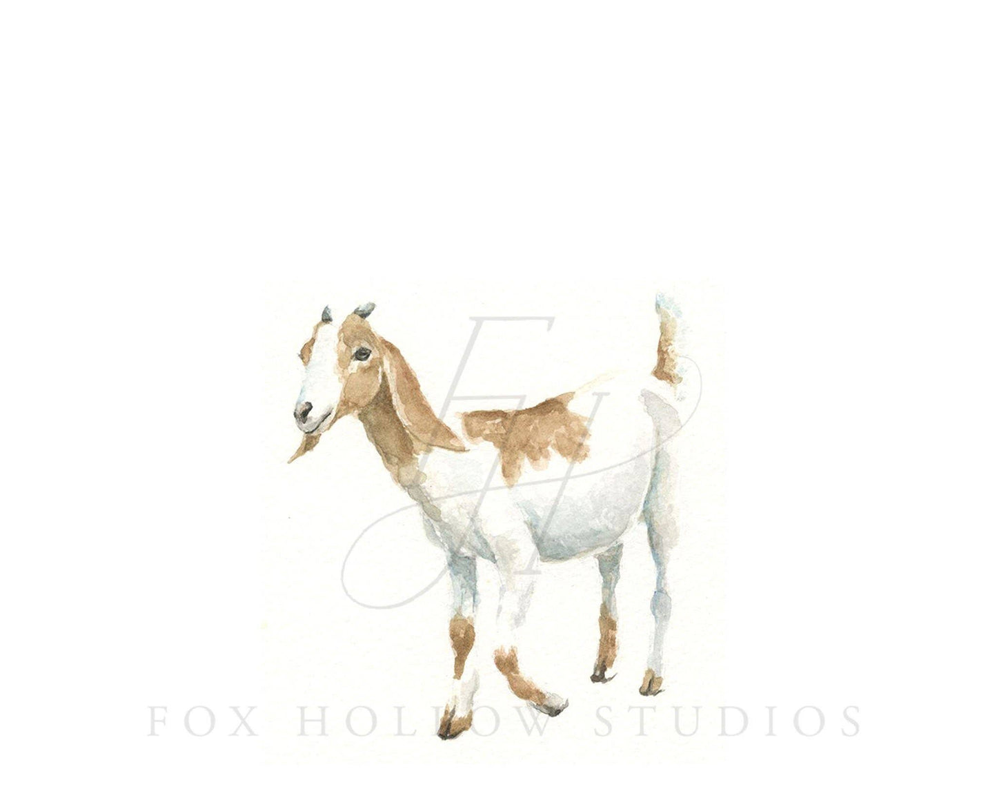 Goat Art Print: 5 x 7"