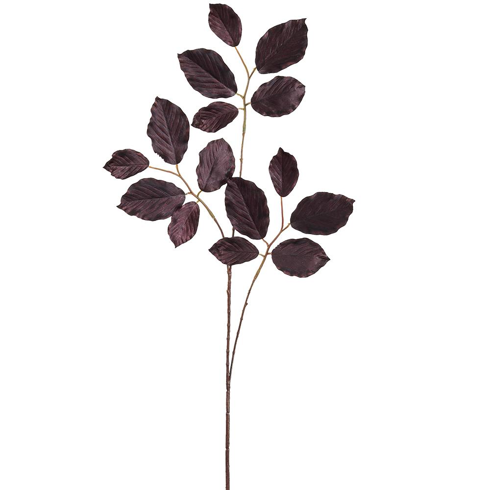Dark Beech Leaf Spray
