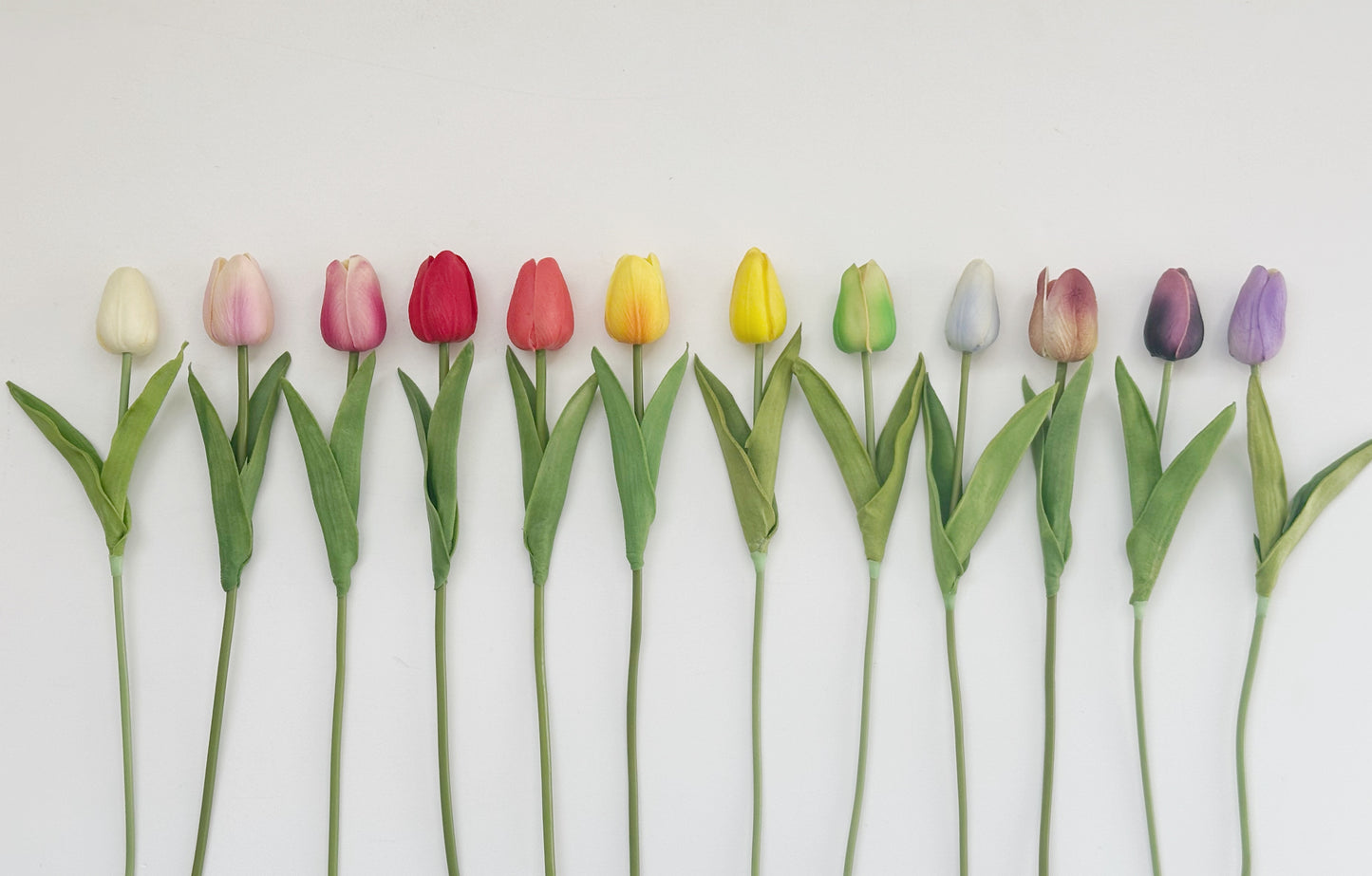 Real Touch Tulips