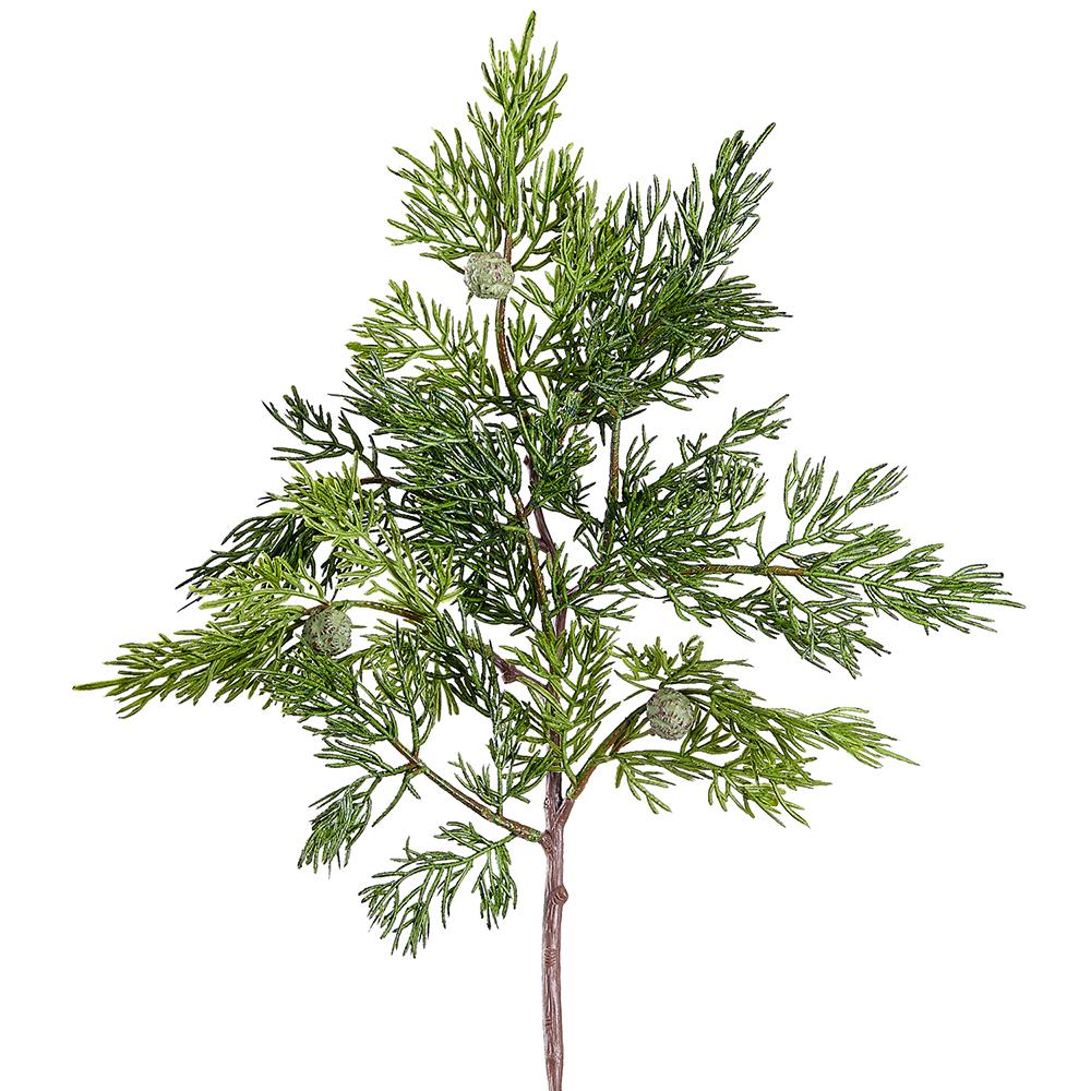 Juniper Stem