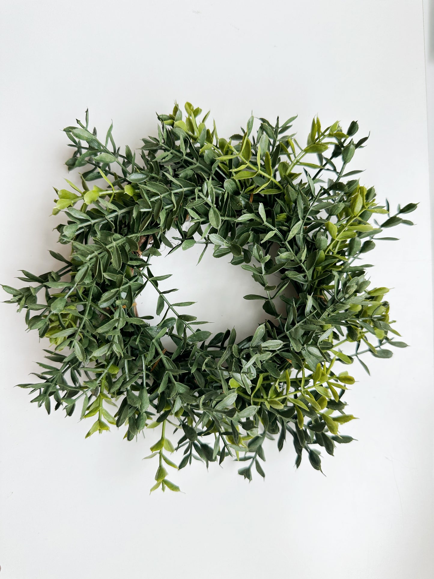New England Boxwood Candle Ring/Wreath 8"