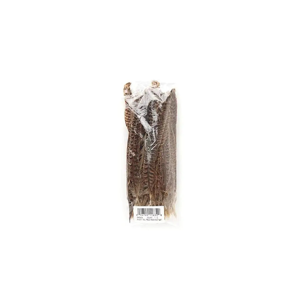 Female Ringneck Pheasant Tails 6-8"- Natural