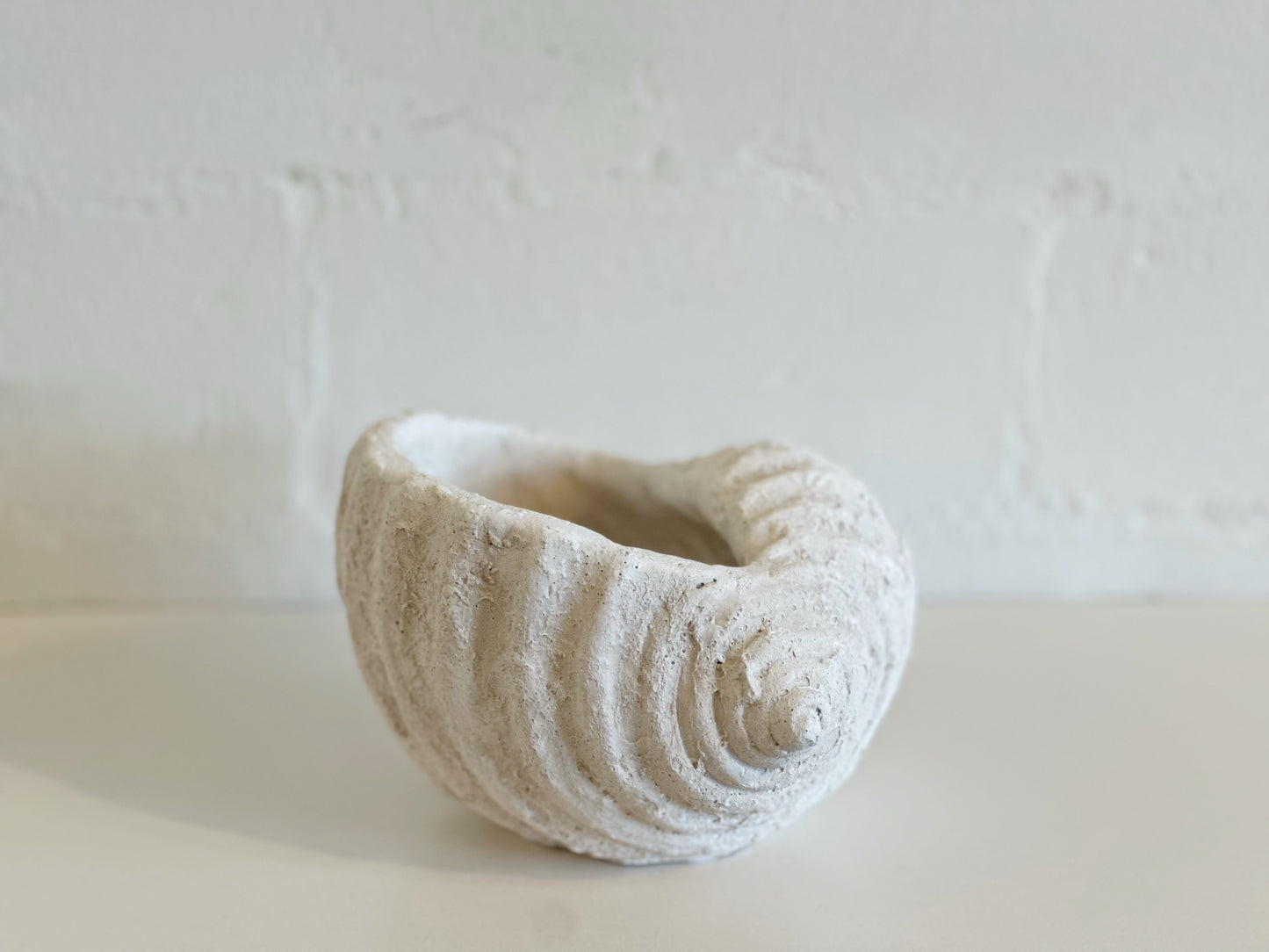 WHITE WEATHERED CONCH SHELL