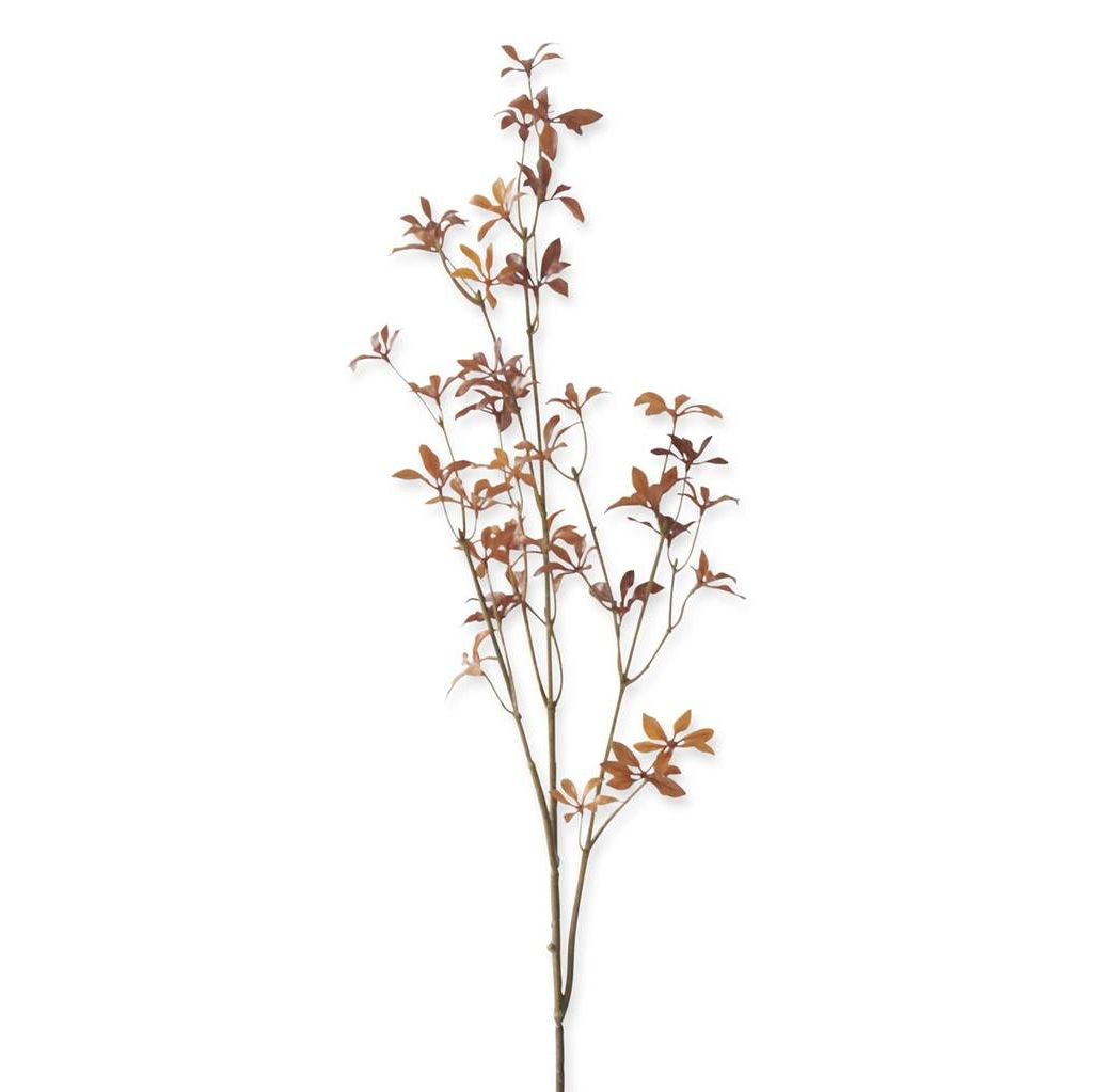 LUDWIGIA FALL LEAF STEM