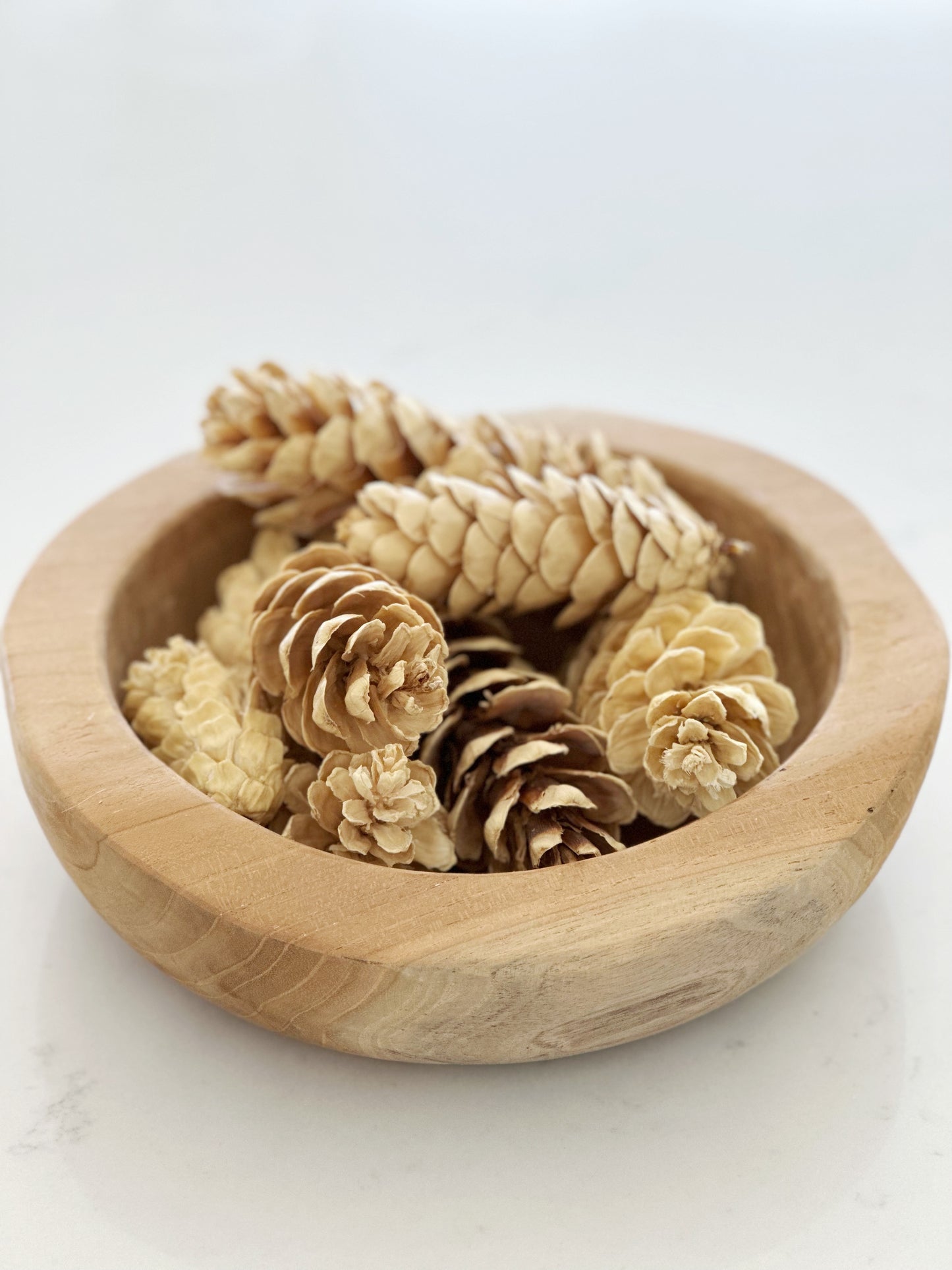 Dried Bleached Strobus Pine Cone Filler