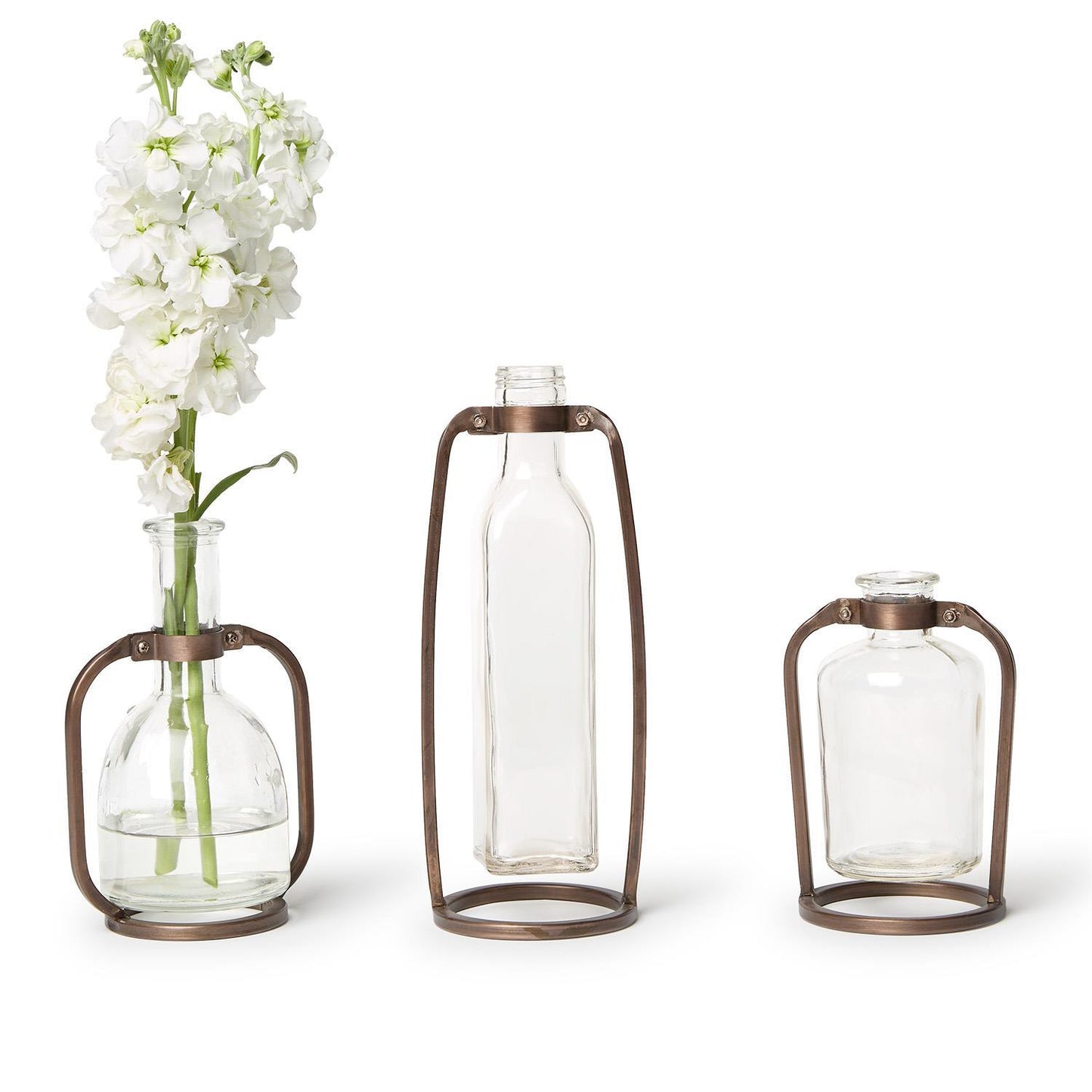 Glass Bottle Vases with Metal Stand