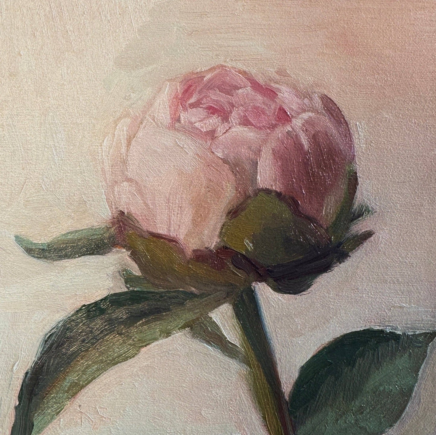 "A Simple Peony": 5x5 Print