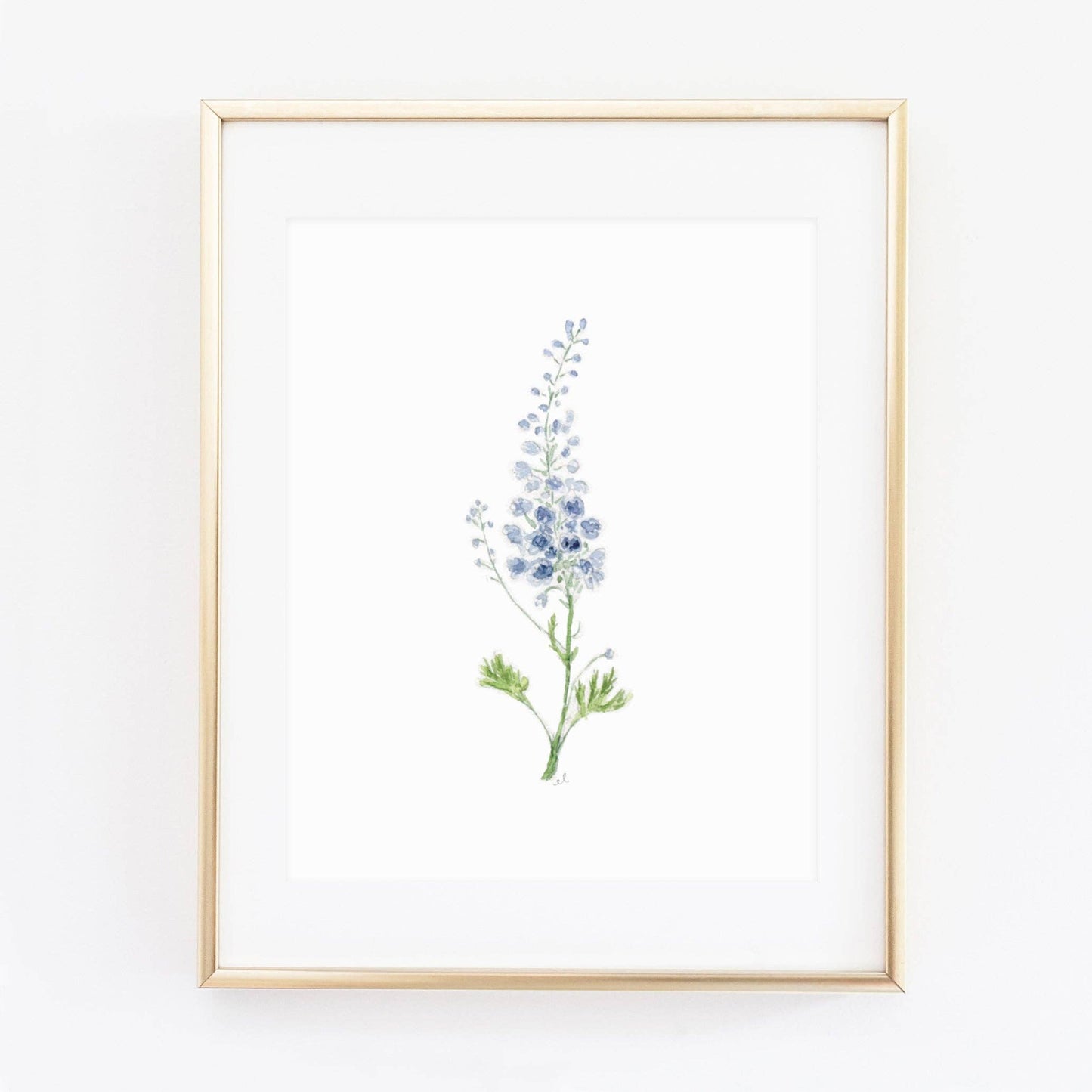 Delphinium art print: 8x10