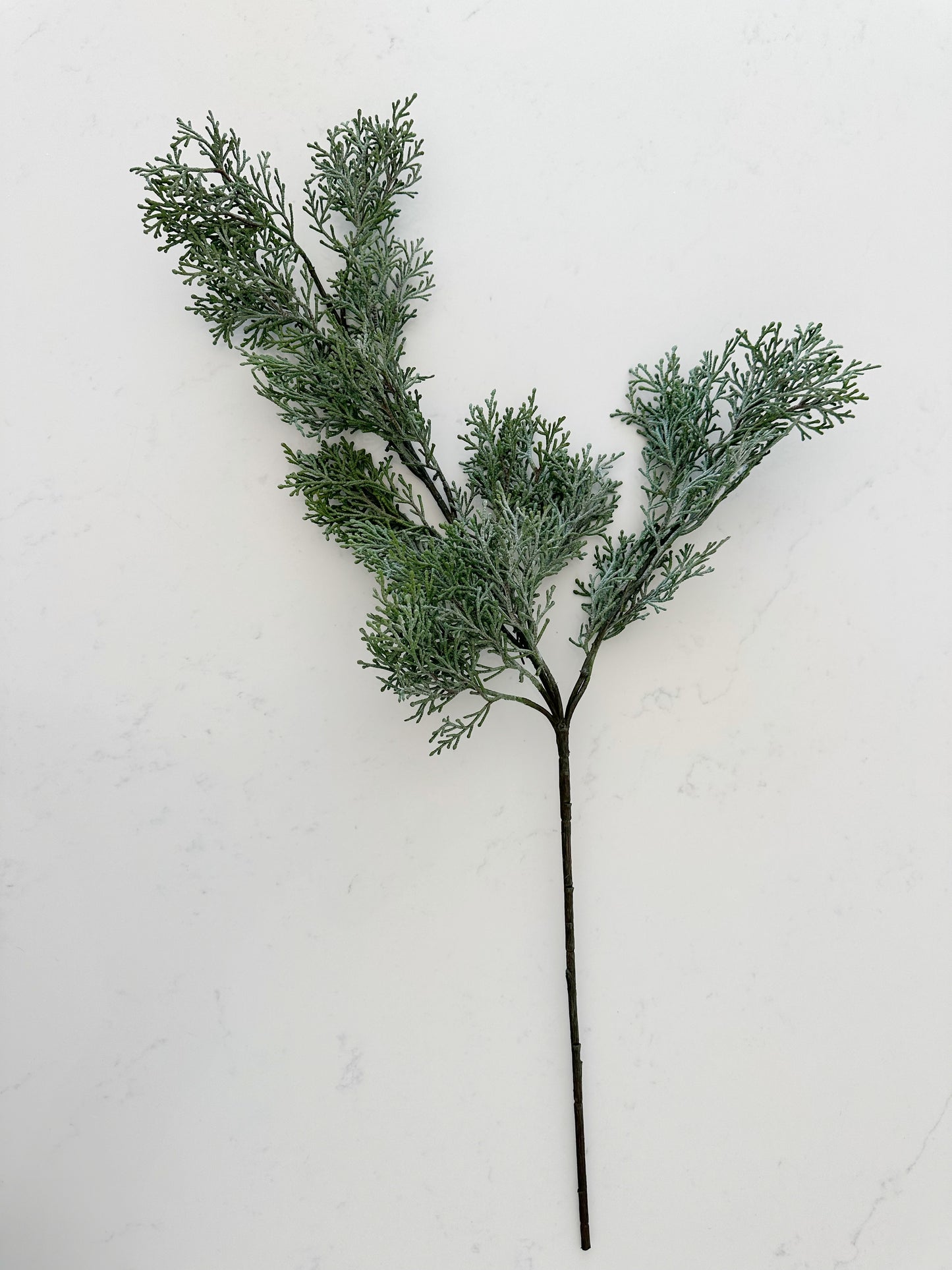 CASCADING CEDAR SPRAY
