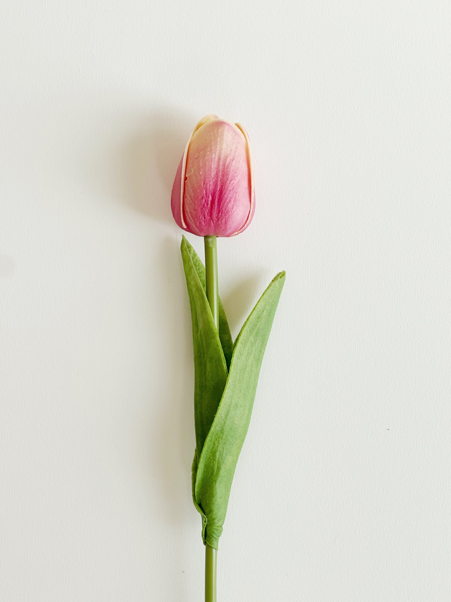 Real Touch Tulips