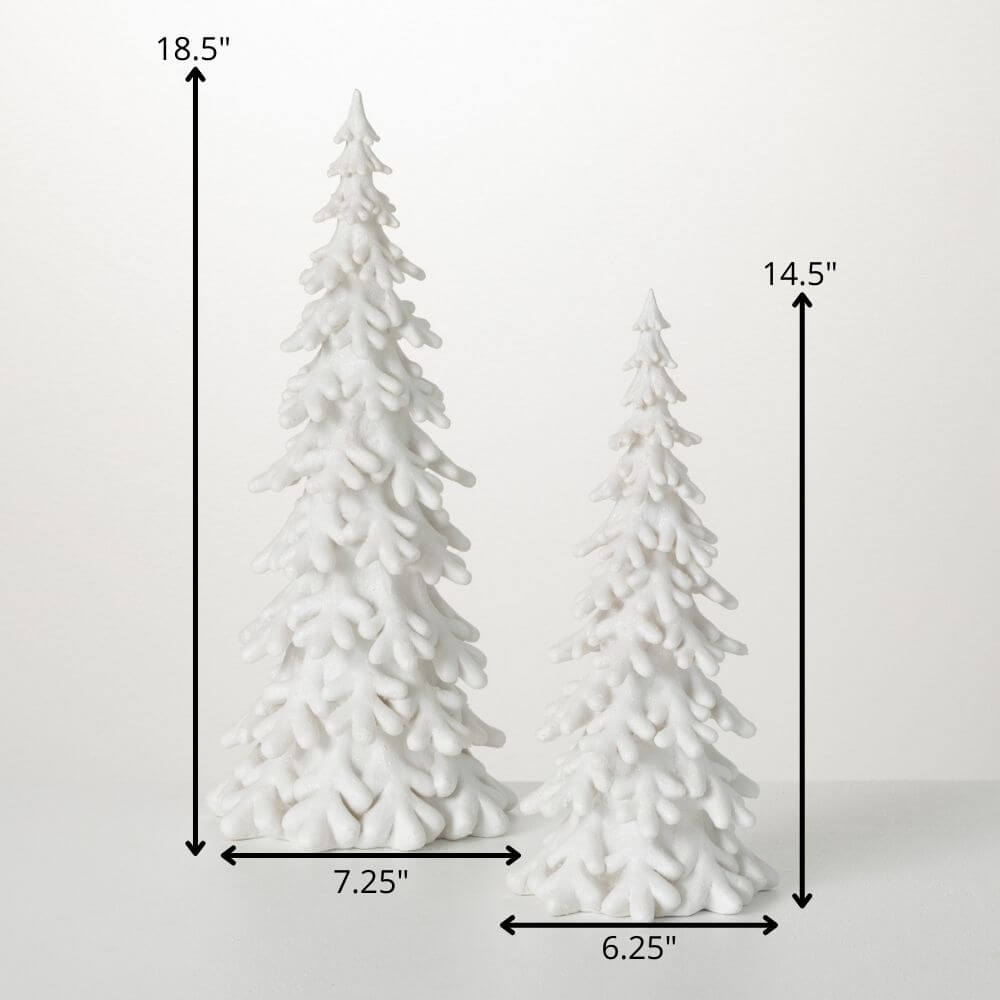 Snow Covered Pine Tree