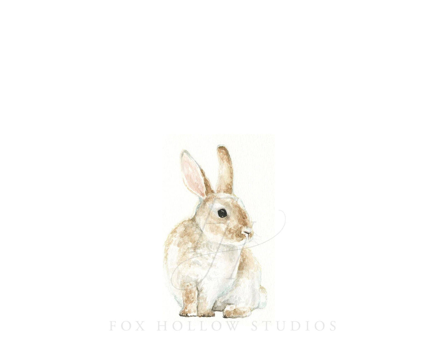 Bunny No. 3 Art Print: 5 x 7"