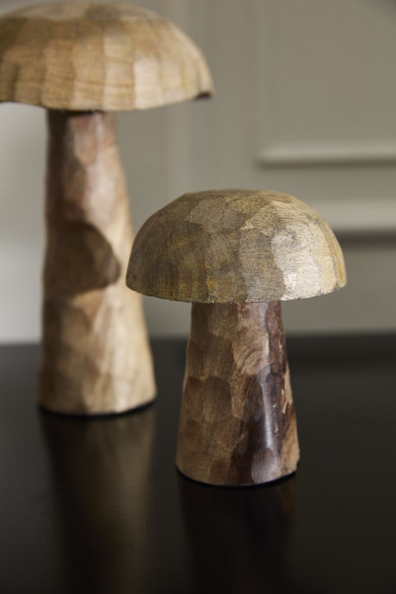 Porcini Mushroom