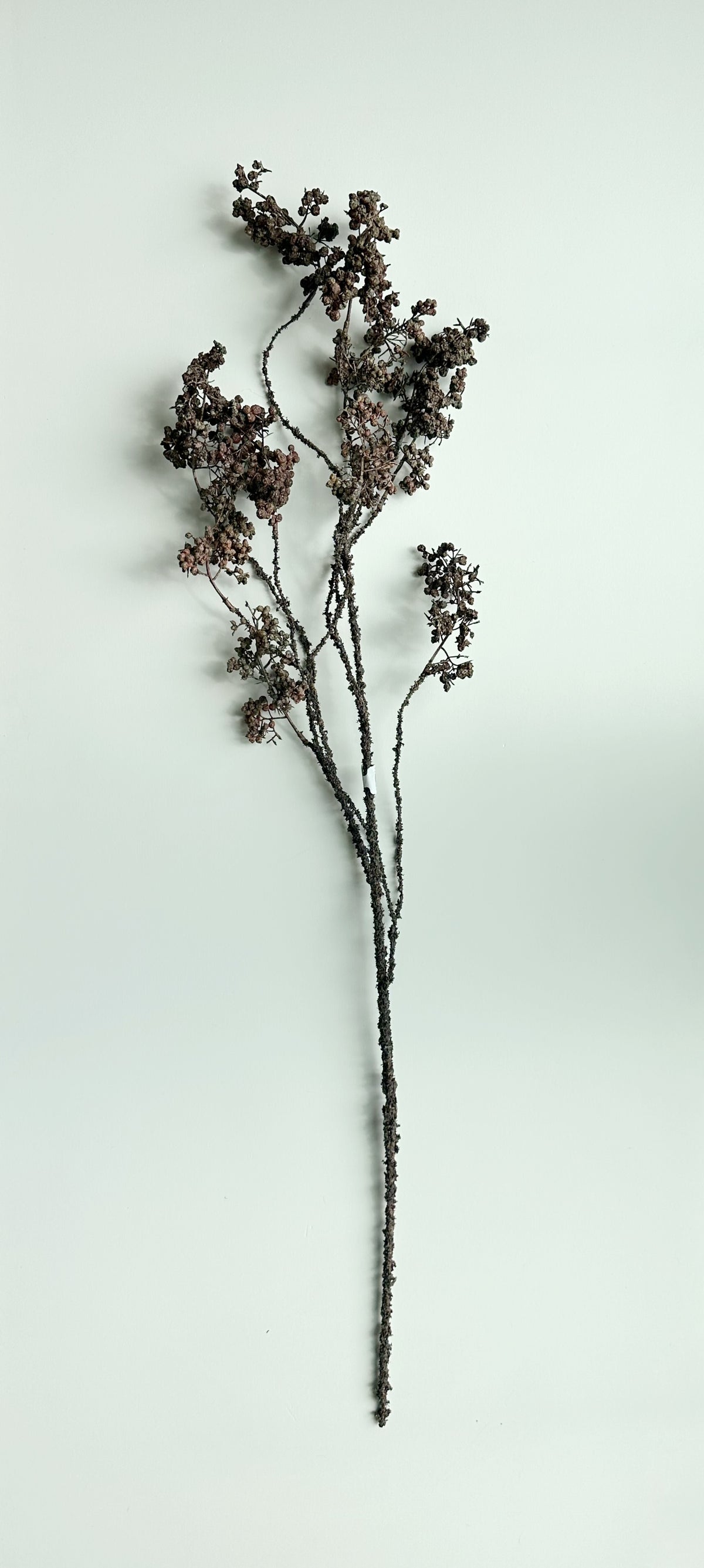 Pod Spray Stem -Brown