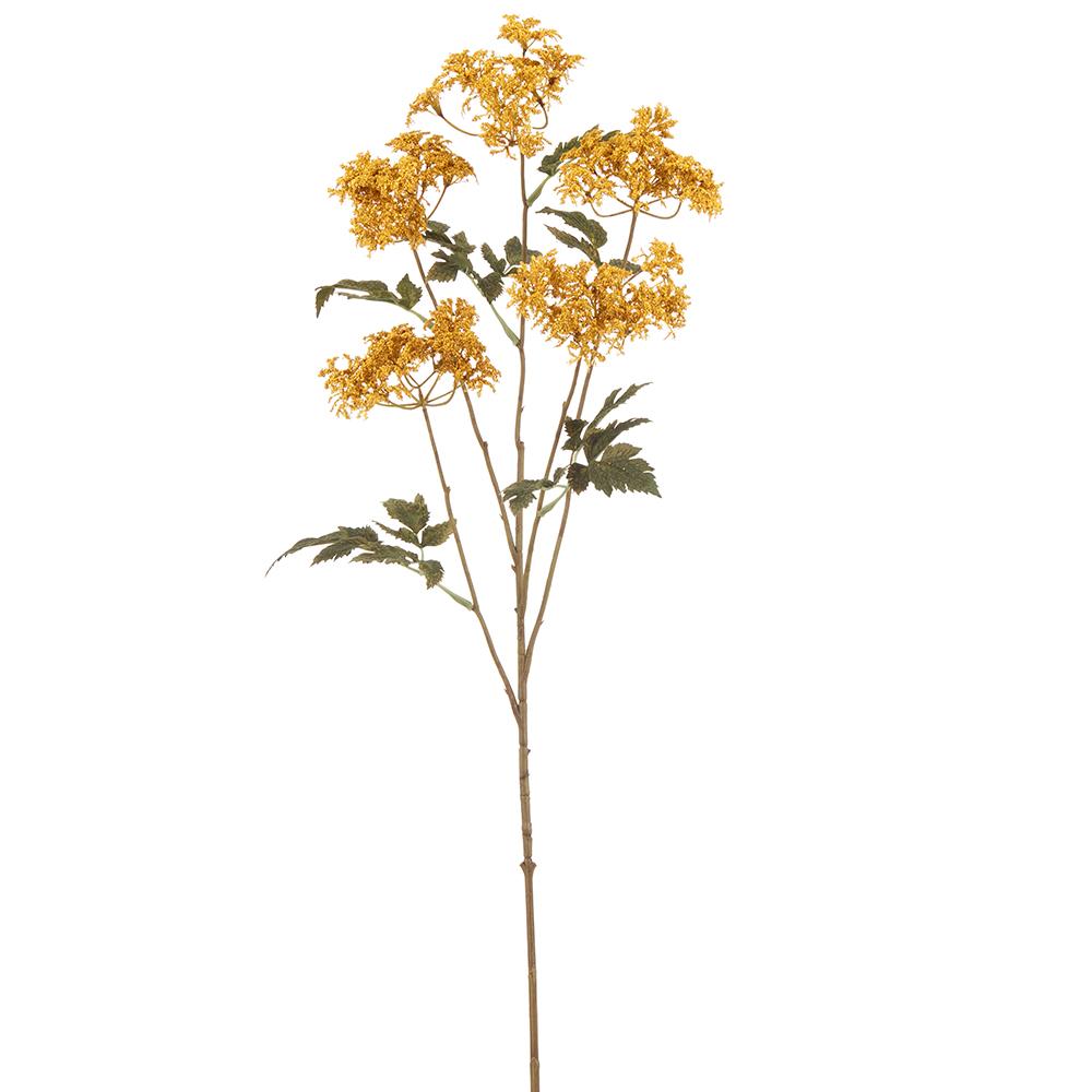 Queen Anne's Lace Spray Mustard