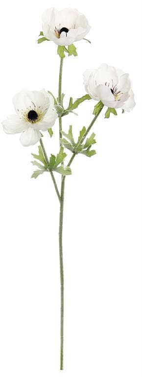 Anemone Floral Stem