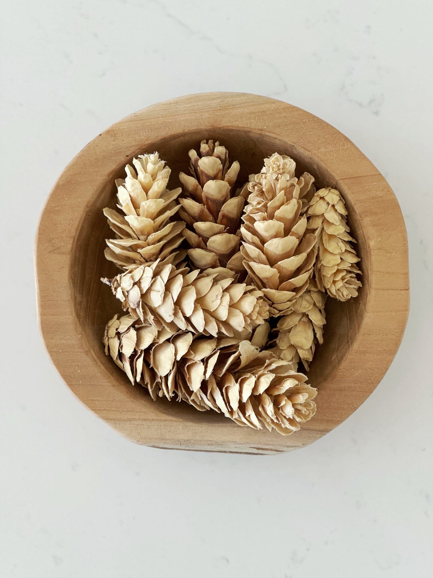 Dried Bleached Strobus Pine Cone Filler