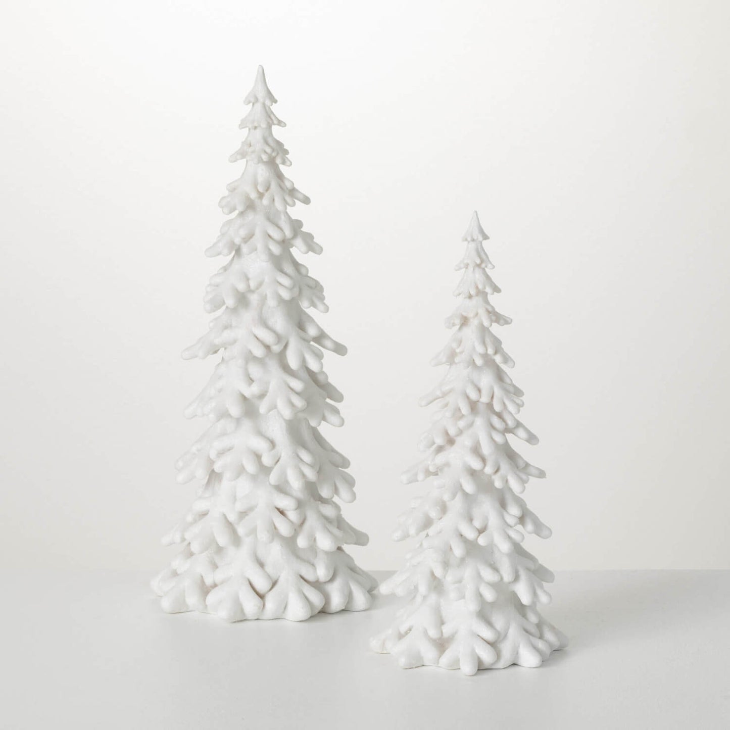 Snow Covered Pine Tree