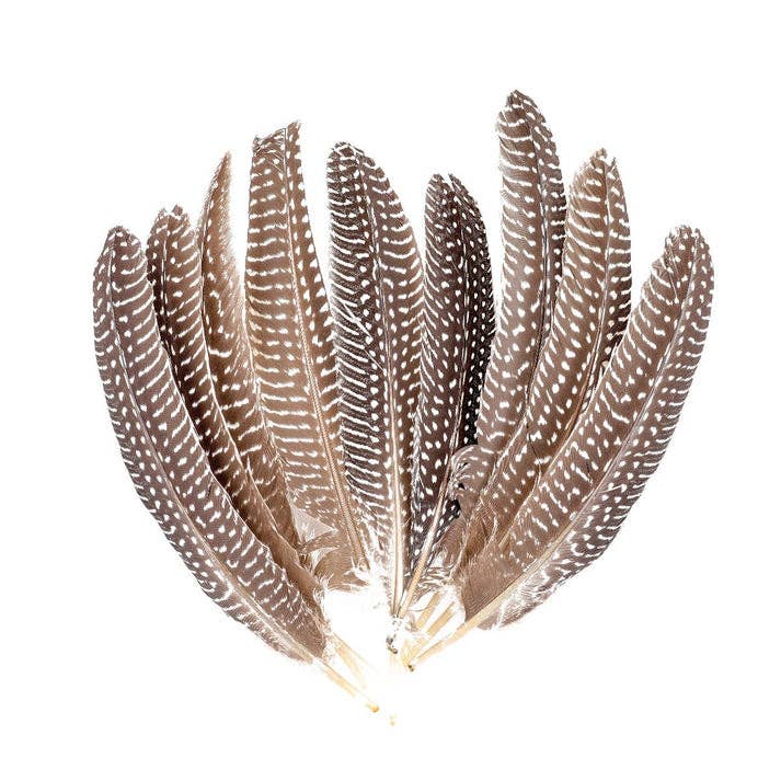 Natural Guinea Hen Round Feather 6-8"