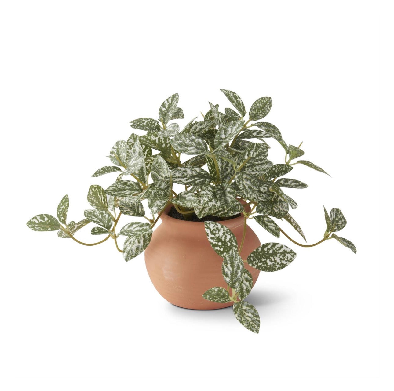 CERAMIC POTTED PLANTS (3 STYLES TO CHOOE FROM)