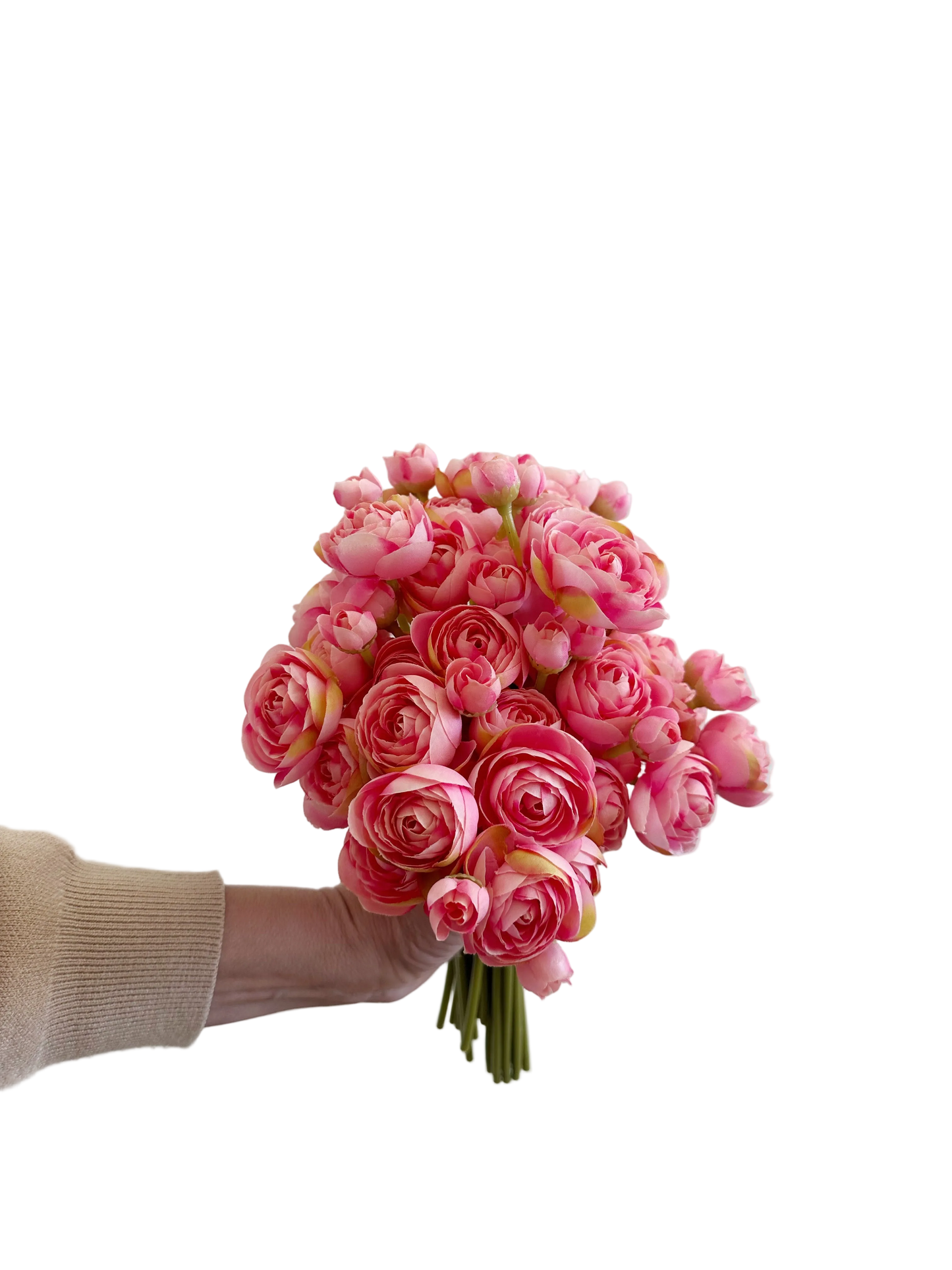 Pink Mini Ranunculus Bundle (7 Stems)