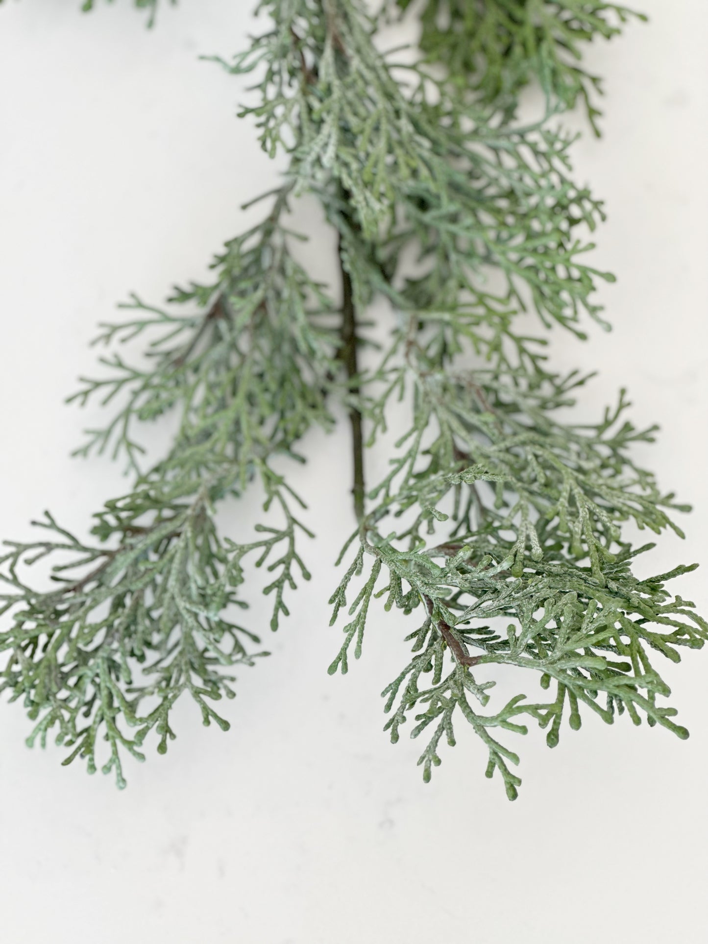 CASCADING CEDAR SPRAY