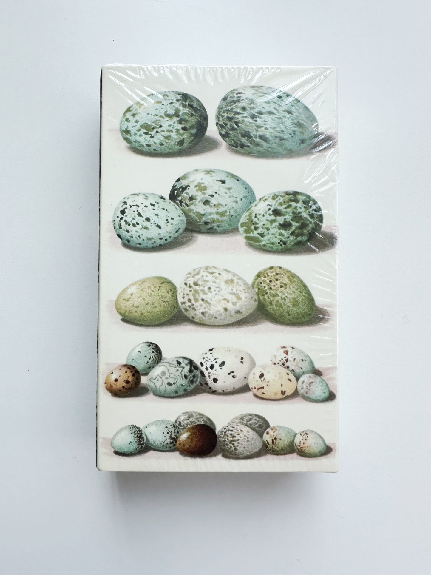 Bird Eggs Matchbox