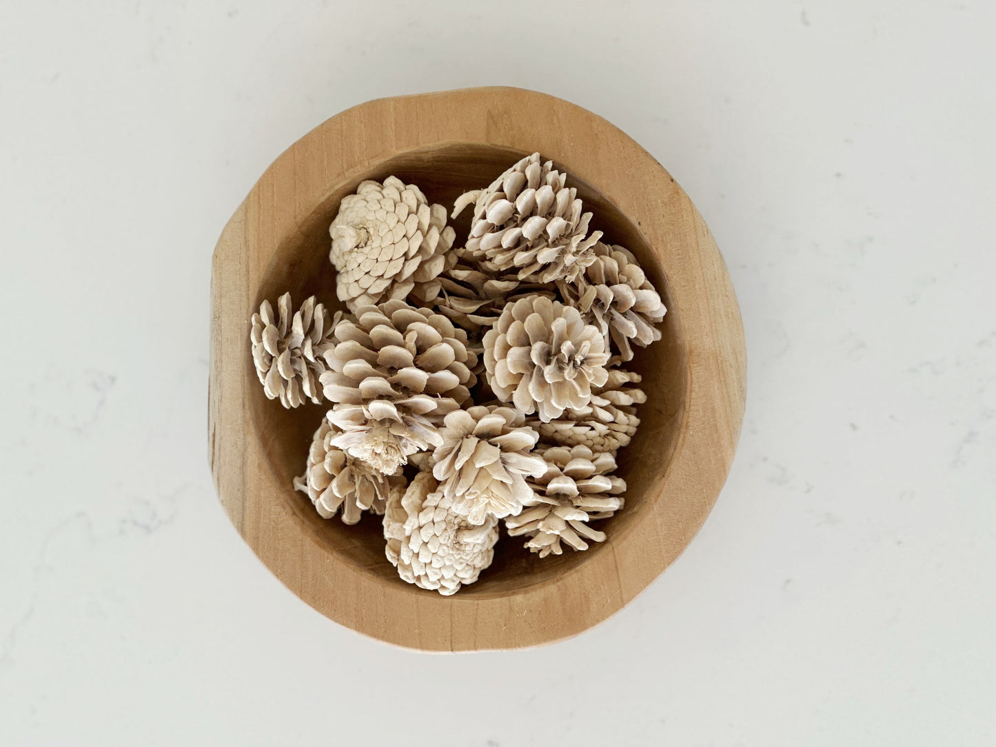 Dried Bleached Pinecones - Filler
