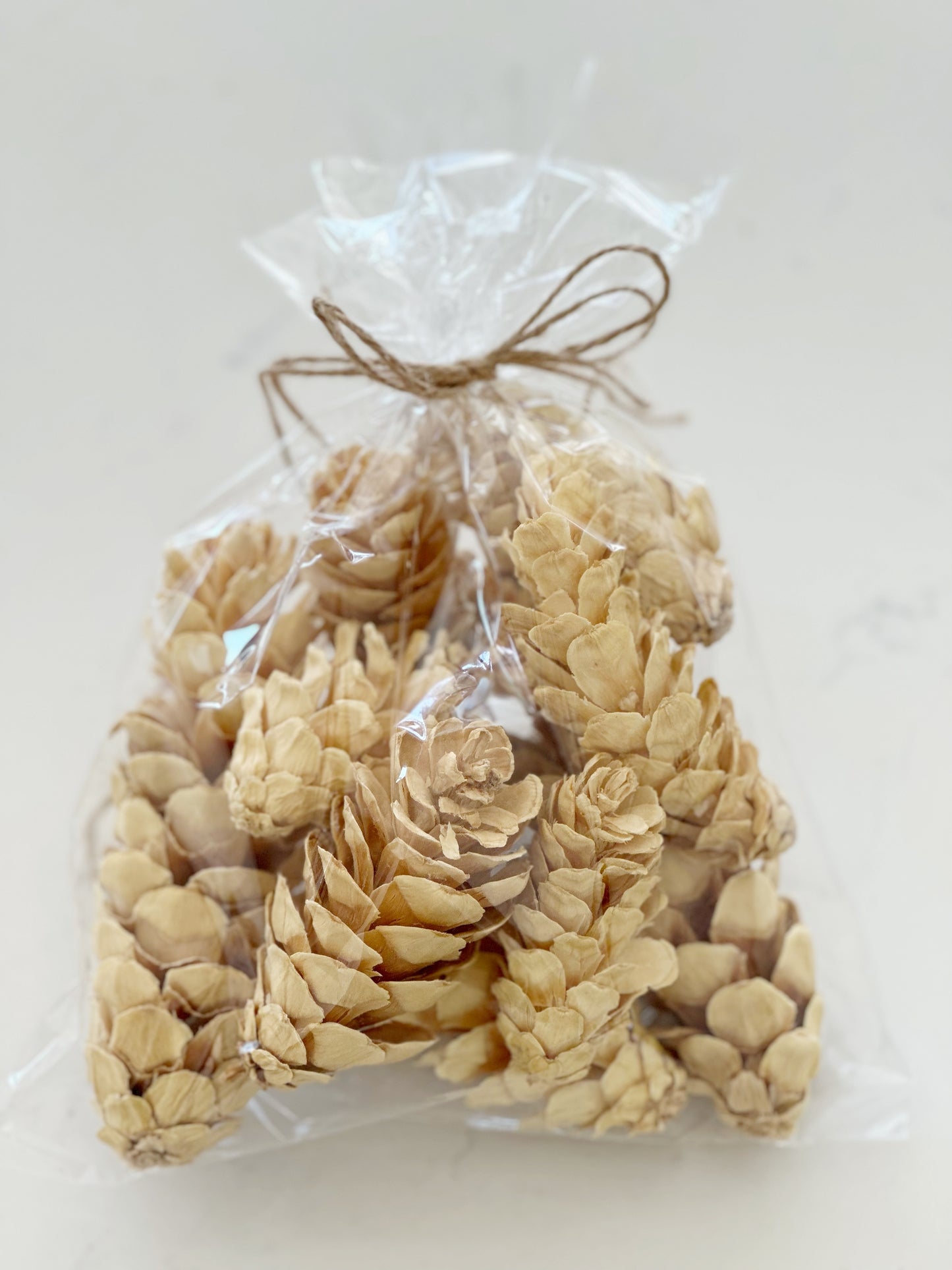 Dried Bleached Strobus Pine Cone Filler