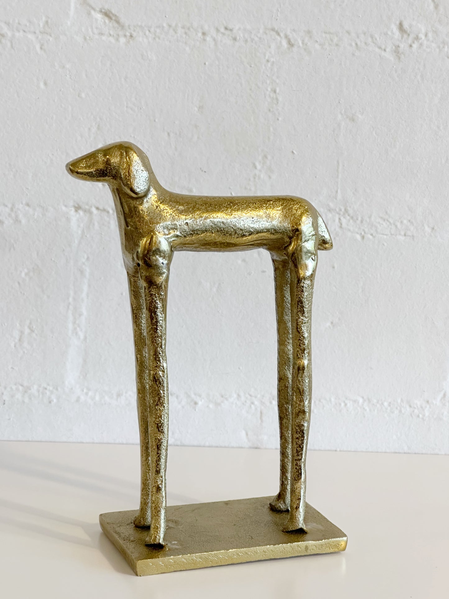 Doggy long legs