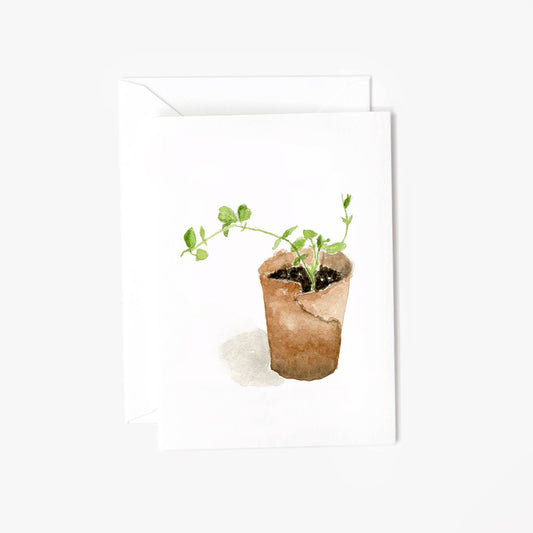 Sweet pea mini notecards