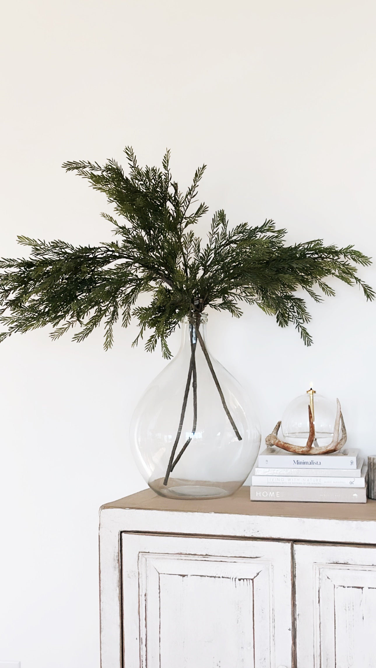 Douglas Fir Stem