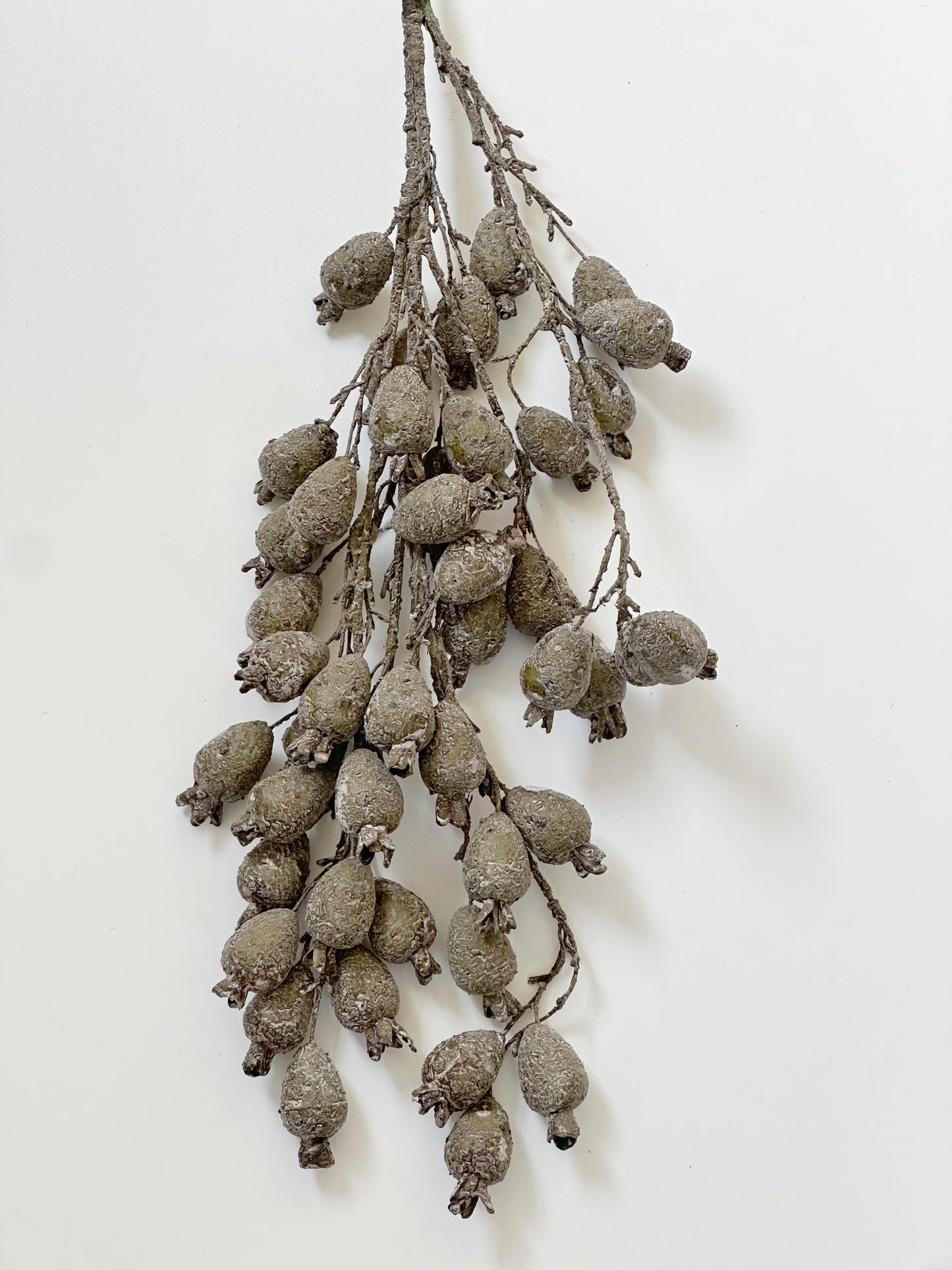 Dried Pod Branch, Green